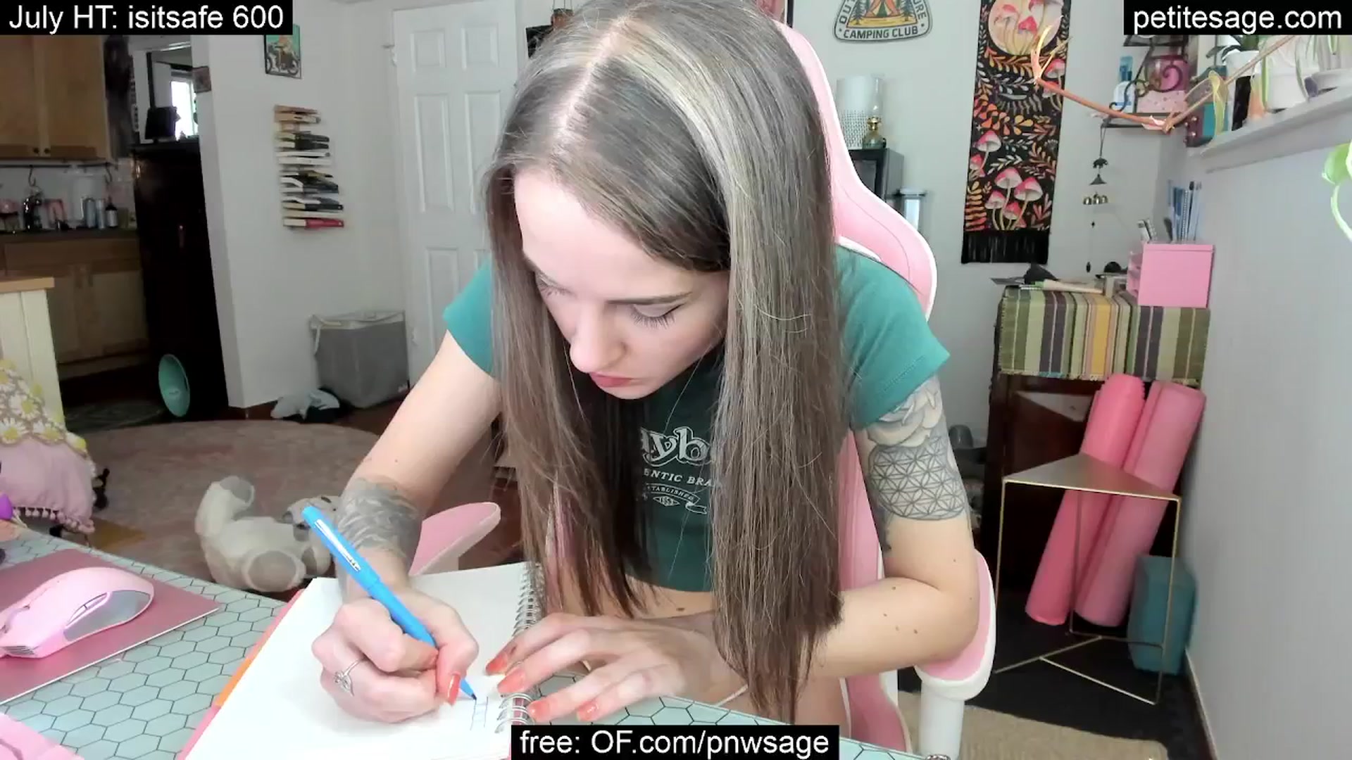 Gallery image thumbnail from PetiteSage's myfreecams stream on, 07/20/2025, 23:44 image 15 of 20
