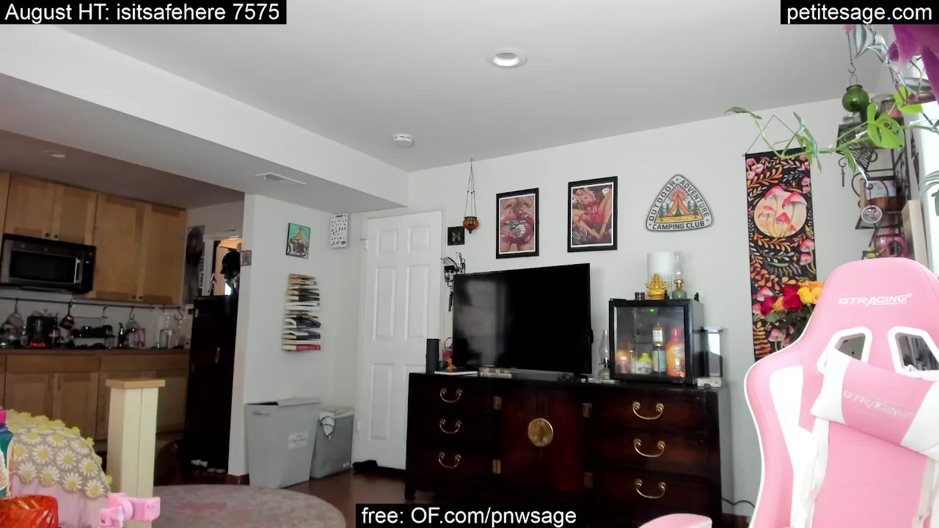 Gallery image thumbnail from PetiteSage's myfreecams stream on, 08/15/2025, 01:35 image 8 of 20