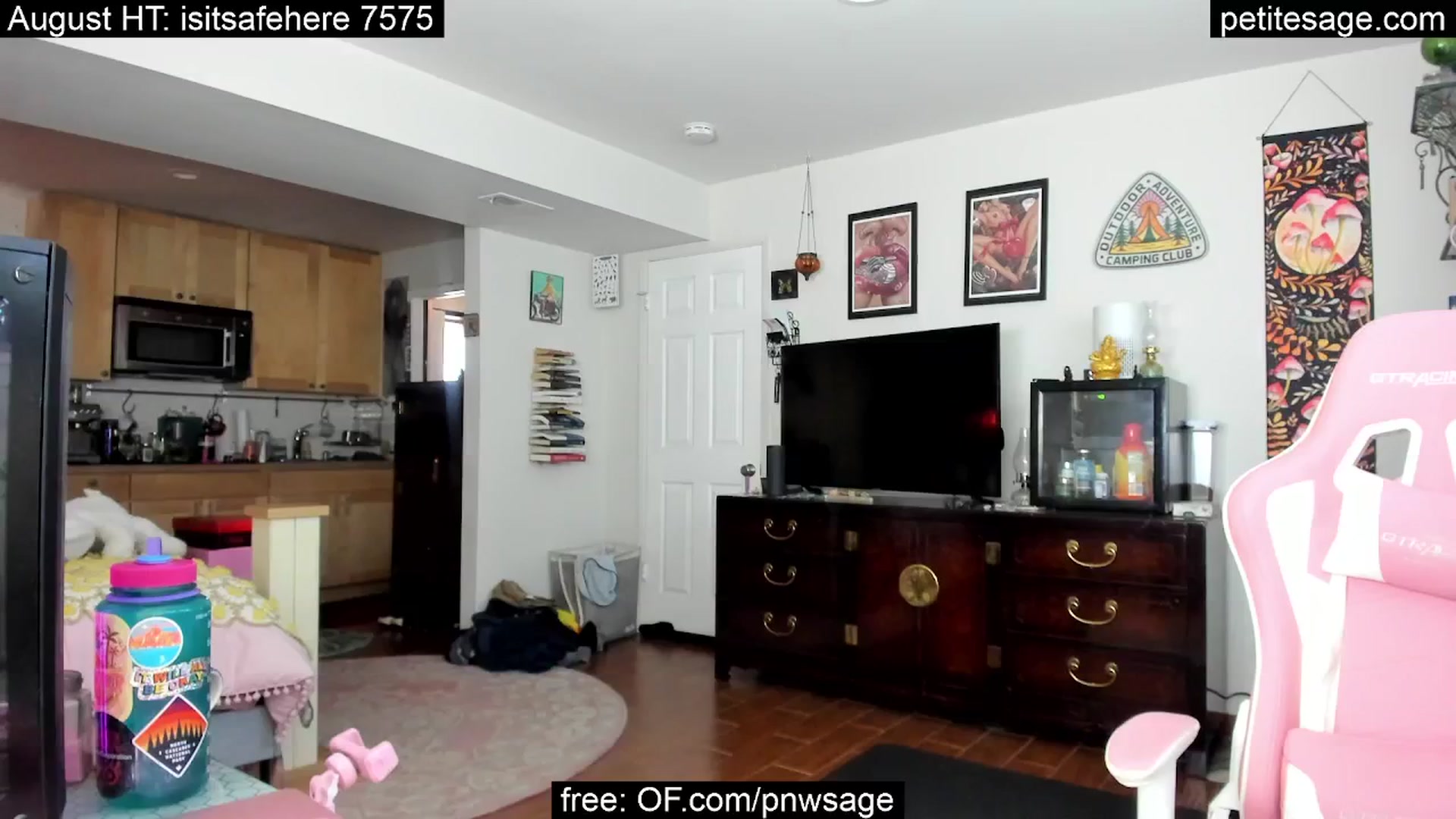 Gallery image thumbnail from PetiteSage's myfreecams stream on, 08/26/2025, 20:34 image 1 of 20