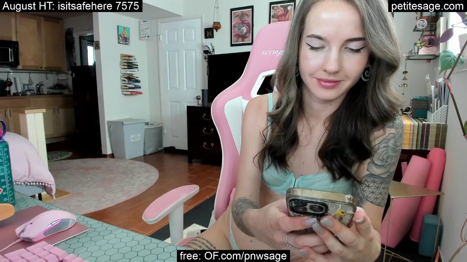 Gallery image thumbnail from PetiteSage's myfreecams stream on, 08/28/2025, 23:32 image 9 of 20