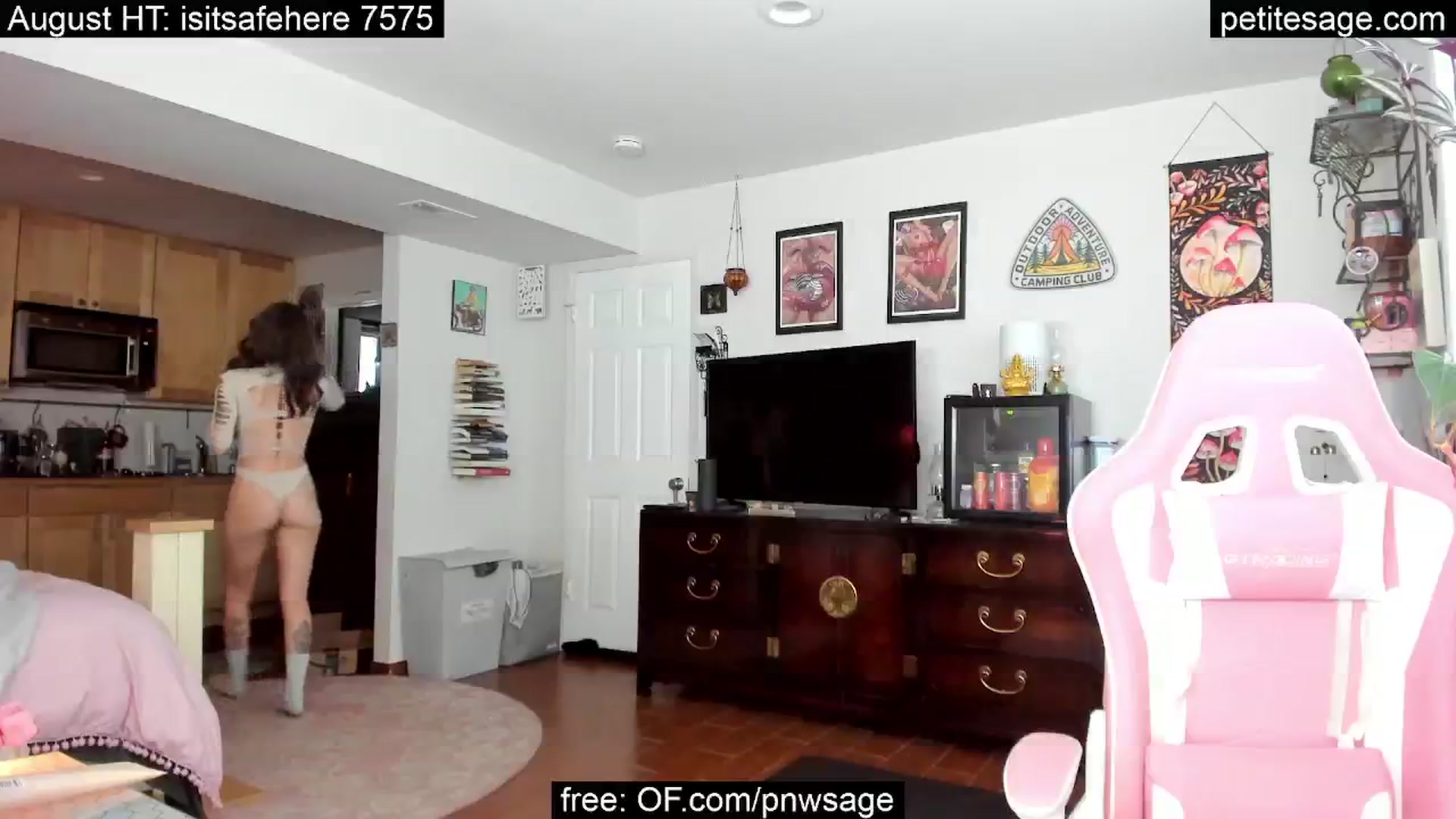 Gallery image thumbnail from PetiteSage's myfreecams stream on, 08/31/2025, 24:03 image 13 of 20