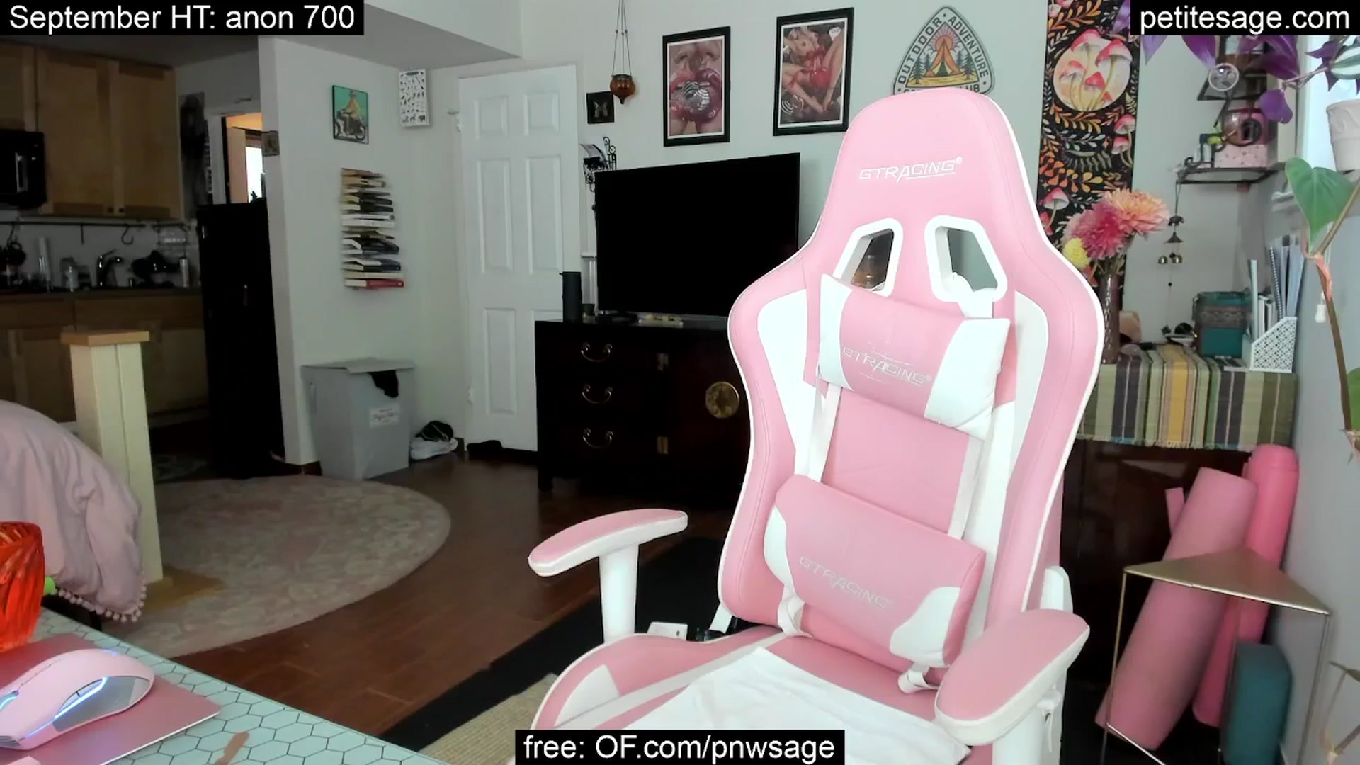 Gallery image thumbnail from PetiteSage's myfreecams stream on, 09/04/2025, 03:24 image 8 of 20