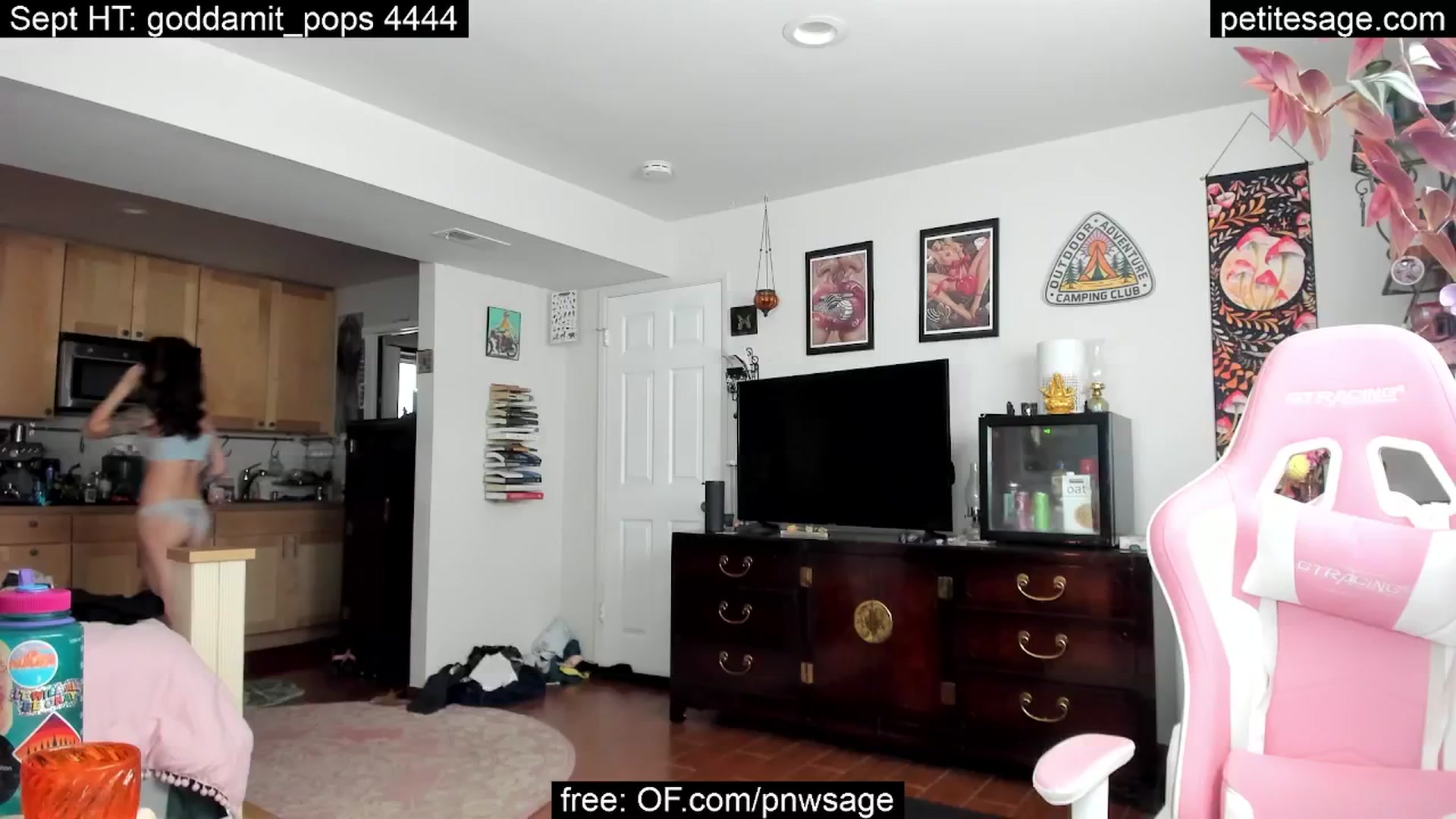 Gallery image thumbnail from PetiteSage's myfreecams stream on, 09/05/2025, 23:43 image 9 of 20