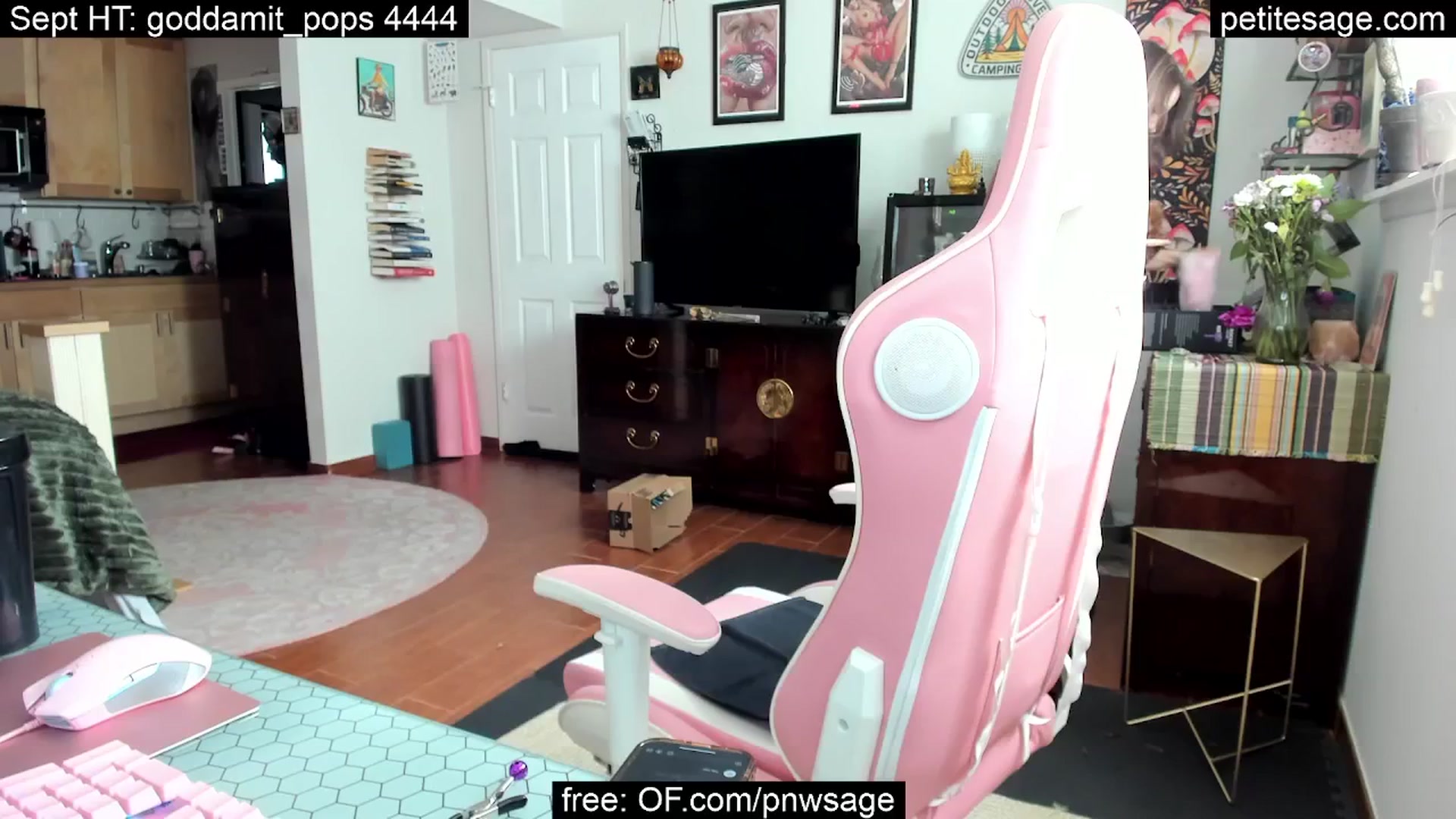 Gallery image thumbnail from PetiteSage's myfreecams stream on, 09/20/2025, 23:26 image 16 of 20