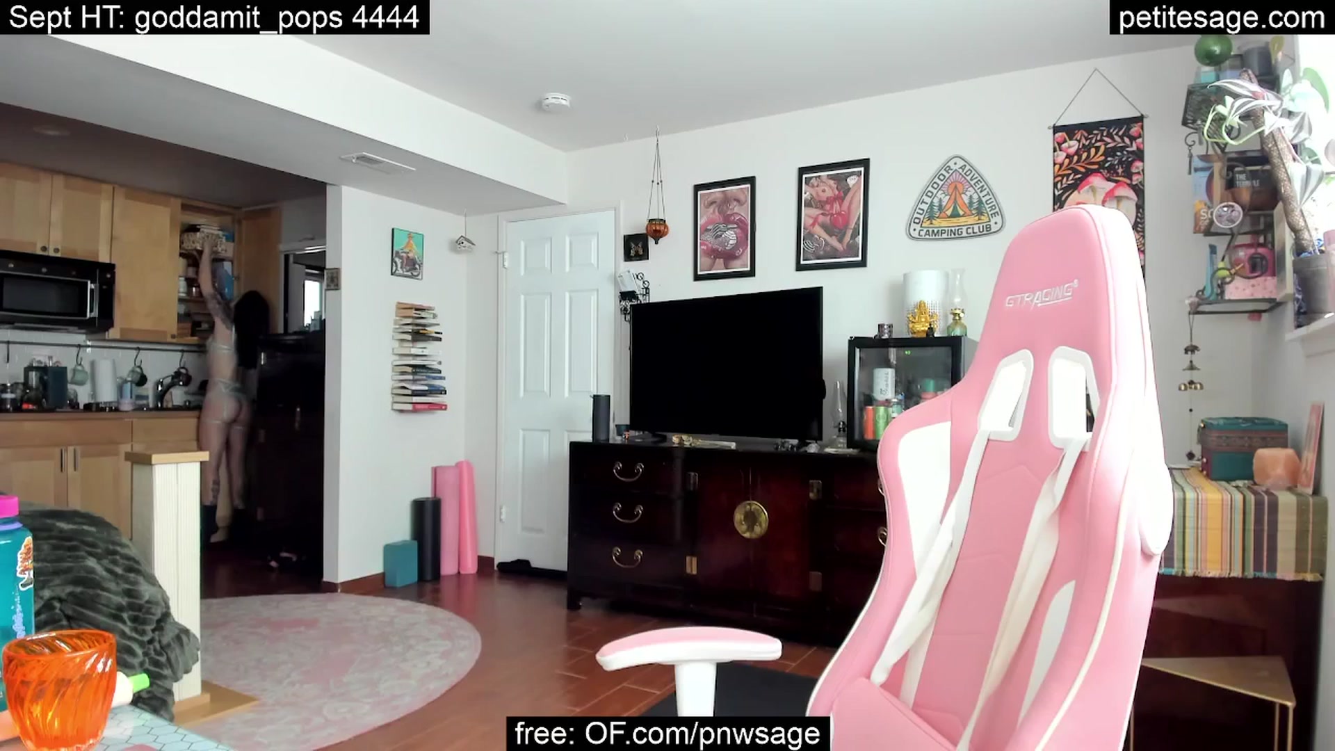 Gallery image thumbnail from PetiteSage's myfreecams stream on, 09/27/2025, 22:56 image 6 of 20