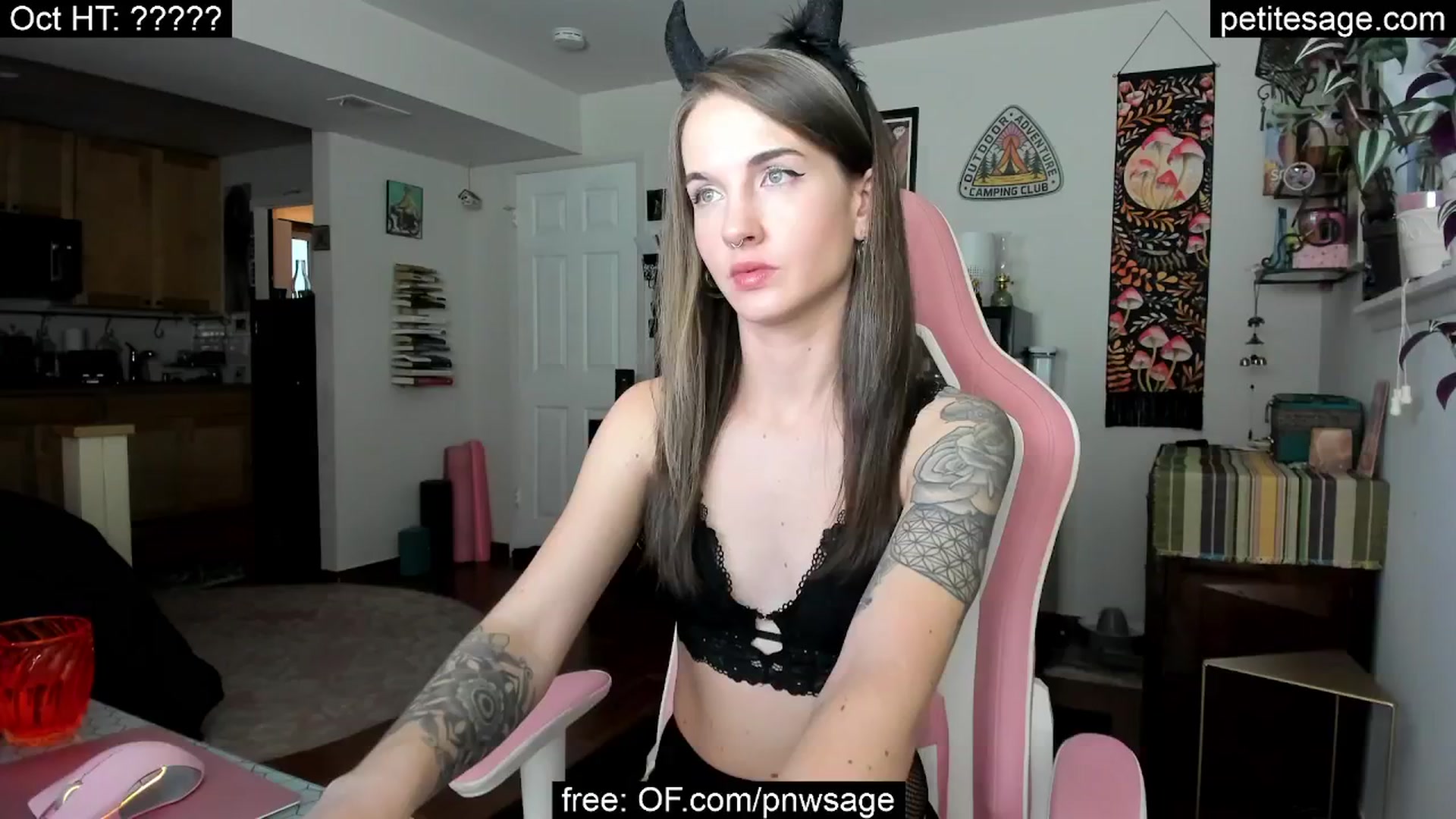 Gallery image thumbnail from PetiteSage's myfreecams stream on, 10/02/2025, 24:32 image 19 of 20