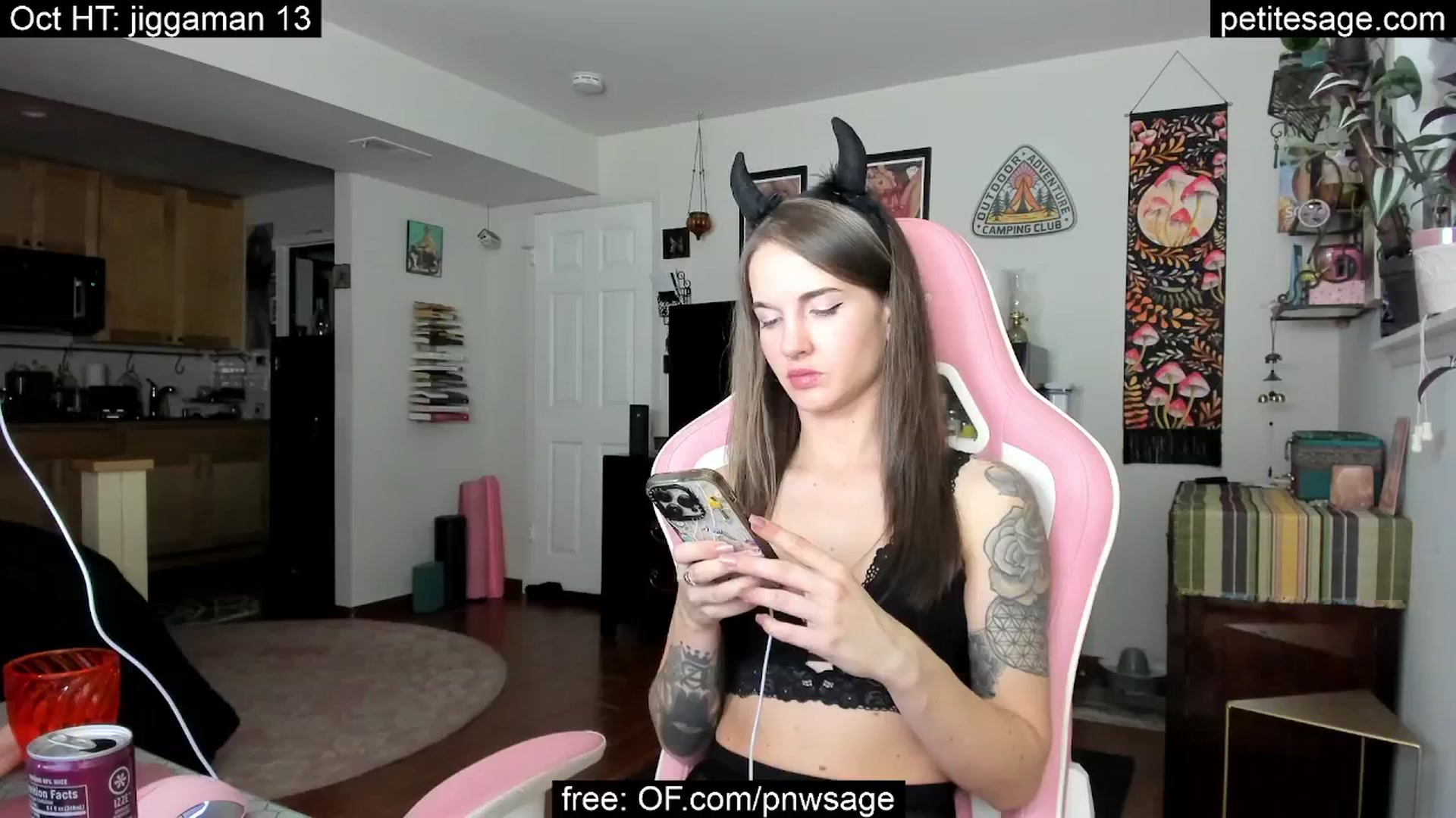 Gallery image thumbnail from PetiteSage's myfreecams stream on, 10/02/2025, 03:02 image 20 of 20