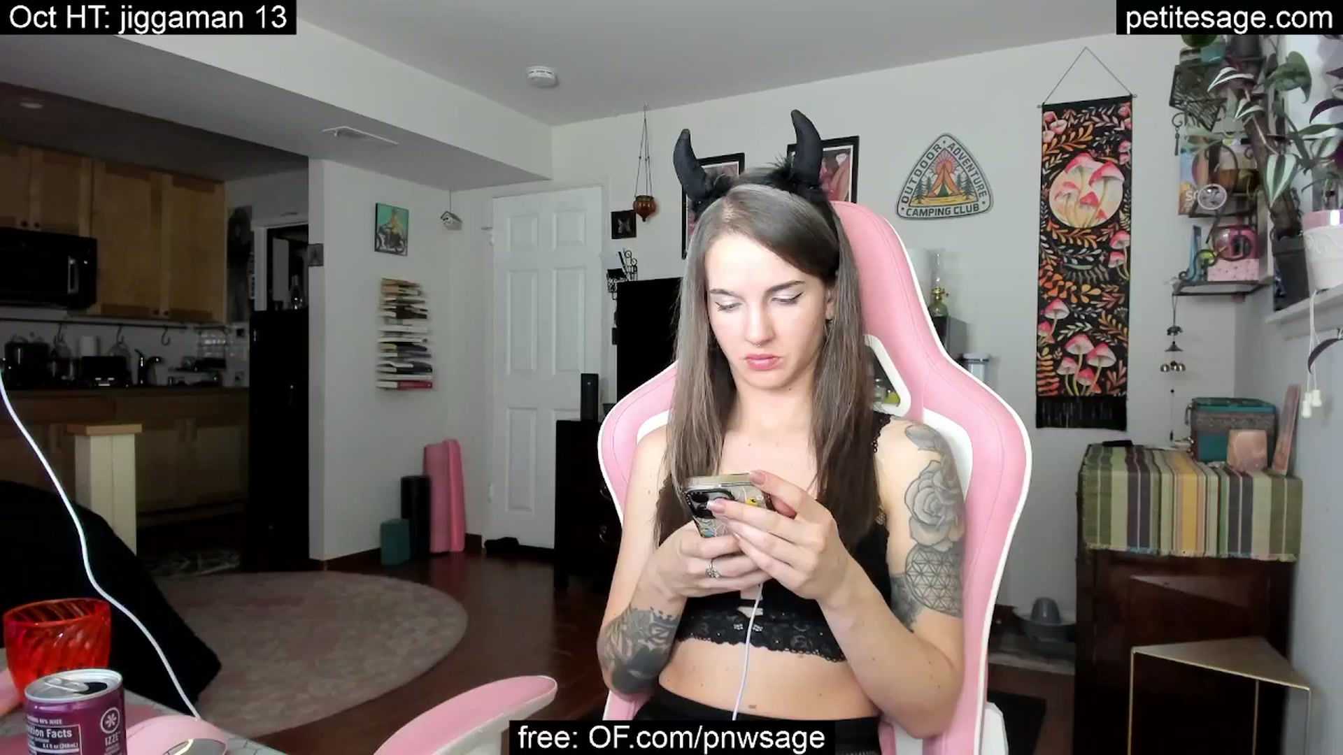 Gallery image thumbnail from PetiteSage's myfreecams stream on, 10/02/2025, 03:02 image 19 of 20