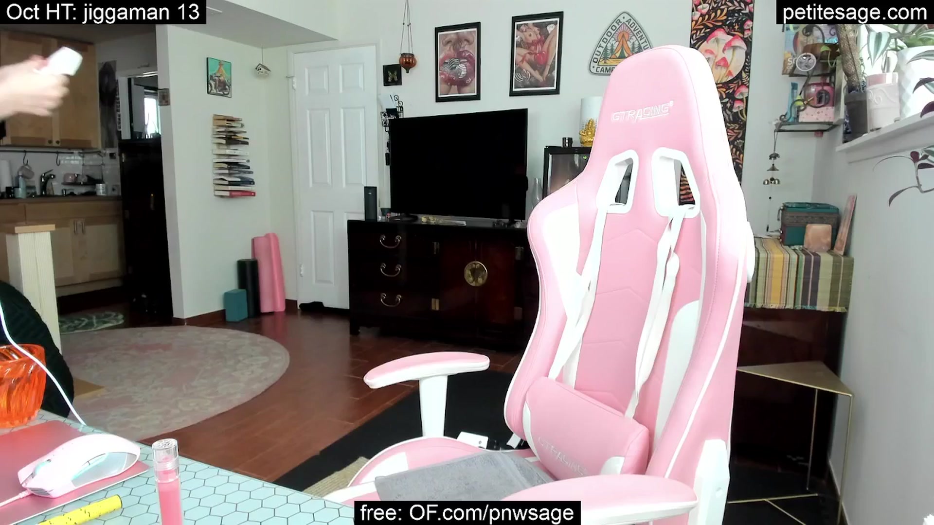 Gallery image thumbnail from PetiteSage's myfreecams stream on, 10/02/2025, 22:32 image 13 of 20