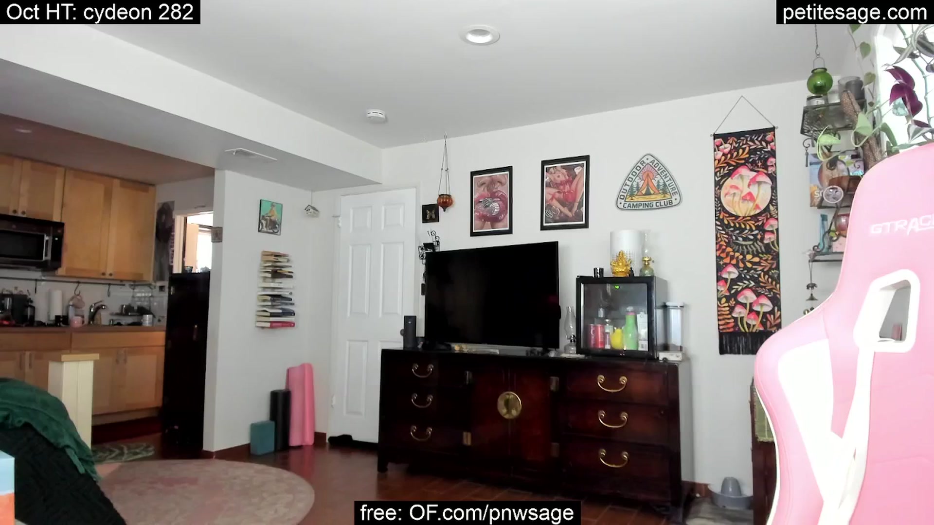 Gallery image thumbnail from PetiteSage's myfreecams stream on, 10/03/2025, 21:13 image 10 of 20