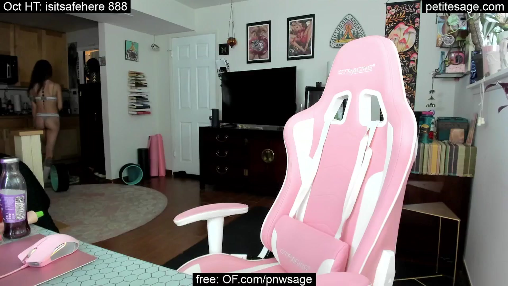 Gallery image thumbnail from PetiteSage's myfreecams stream on, 10/10/2025, 23:45 image 10 of 20