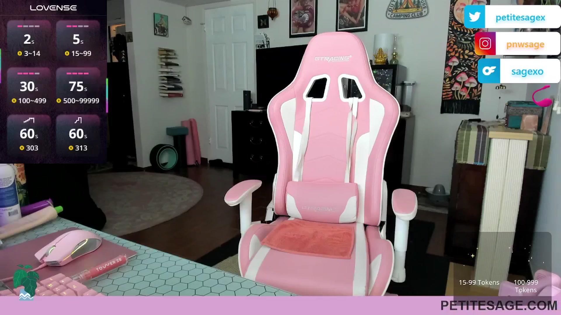 Gallery image thumbnail from PetiteSage's myfreecams stream on, 10/26/2025, 02:29 image 17 of 20