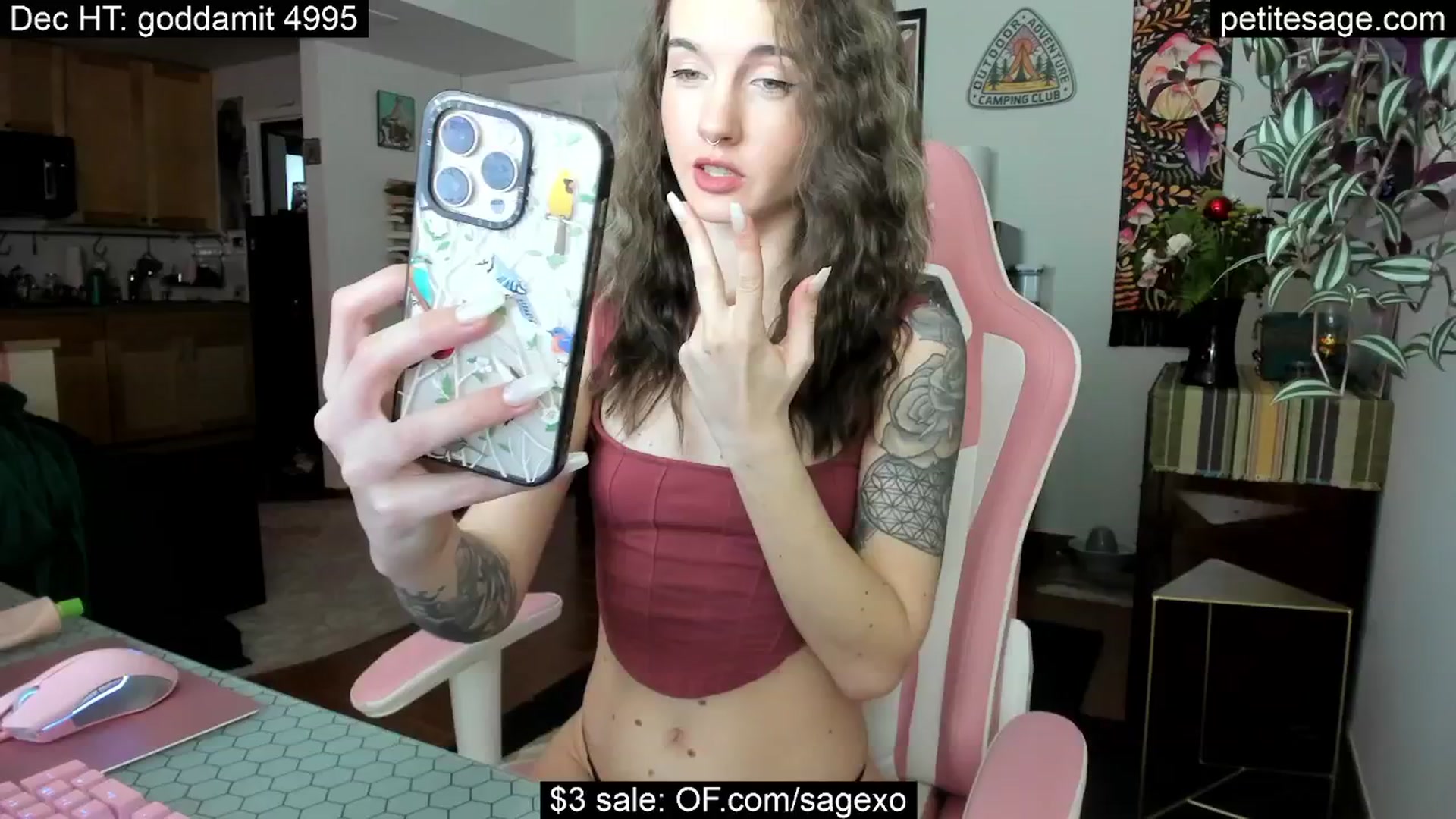 Gallery image thumbnail from PetiteSage's myfreecams stream on, 12/14/2025, 23:56 image 10 of 20