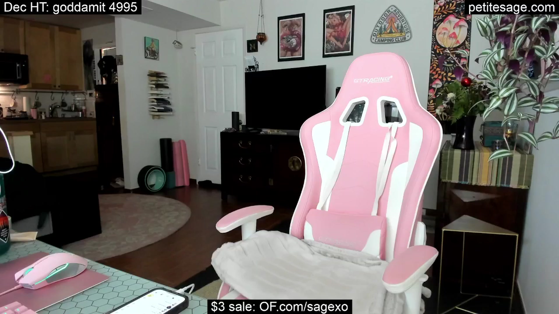 Gallery image thumbnail from PetiteSage's myfreecams stream on, 12/18/2025, 24:33 image 17 of 20