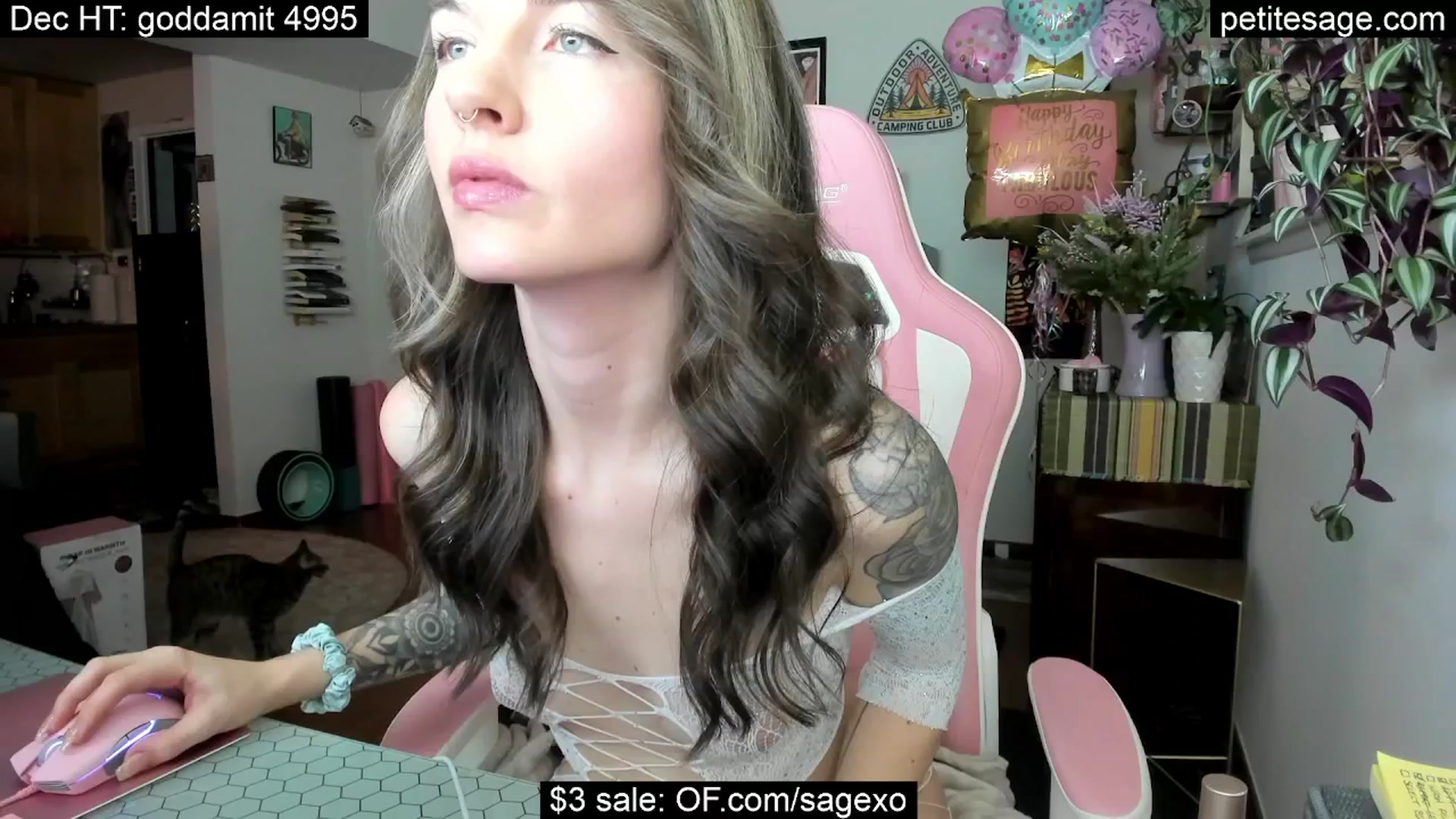 Gallery image thumbnail from PetiteSage's myfreecams stream on, 01/01/2026, 03:23 image 1 of 20