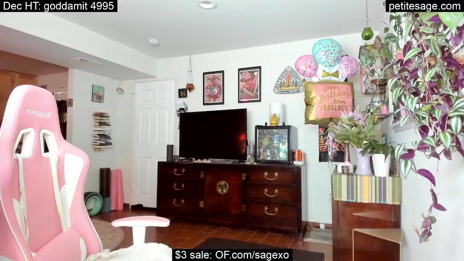 Gallery image thumbnail from PetiteSage's myfreecams stream on, 01/01/2026, 03:23 image 15 of 20