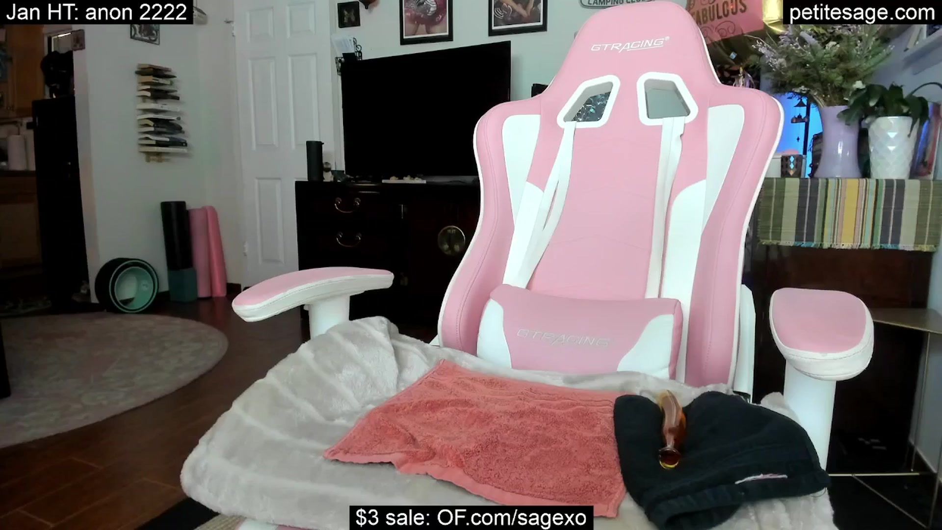 Gallery image thumbnail from PetiteSage's myfreecams stream on, 01/04/2026, 02:56 image 9 of 20
