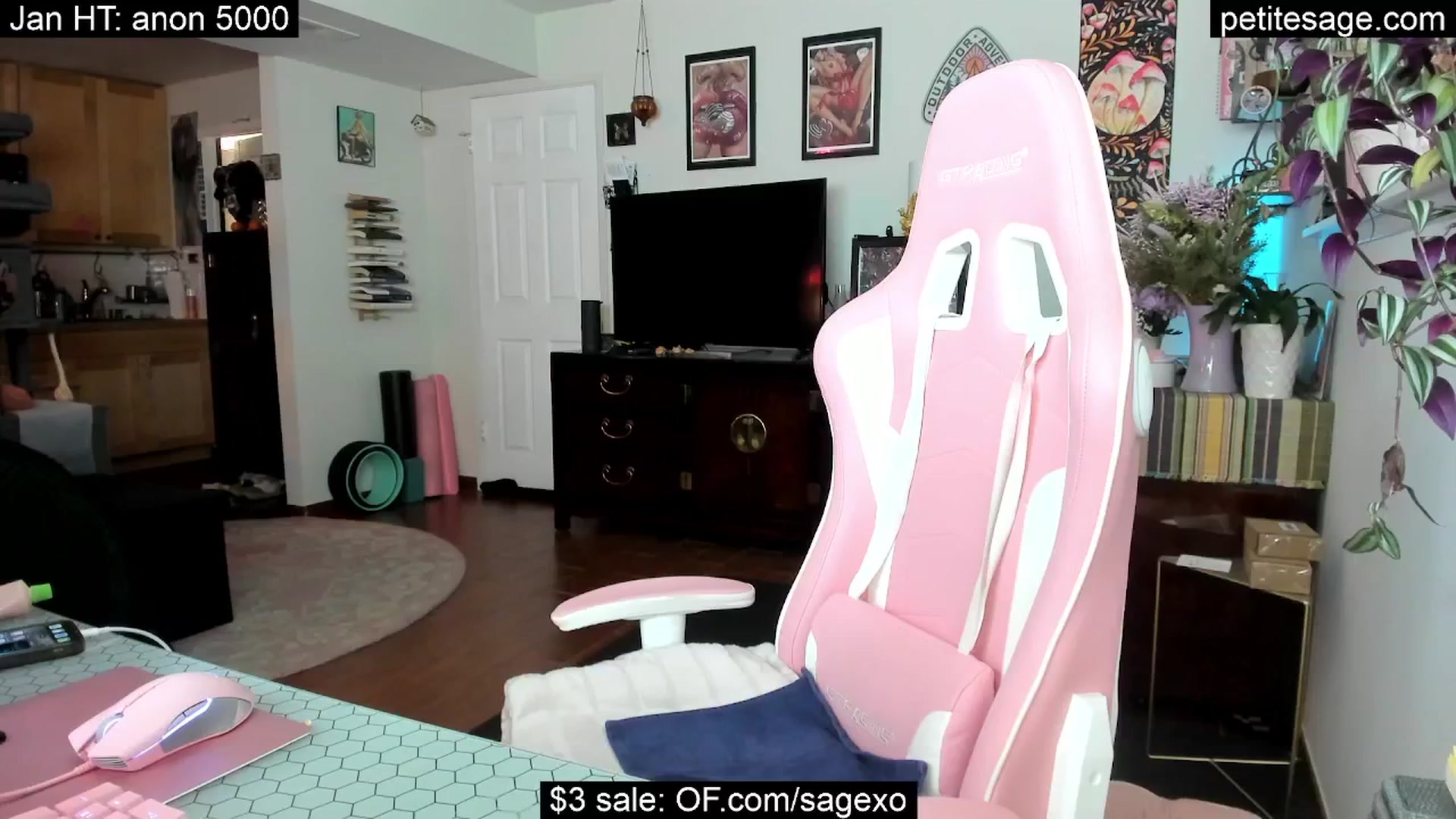 Gallery image thumbnail from PetiteSage's myfreecams stream on, 01/12/2026, 03:27 image 17 of 20