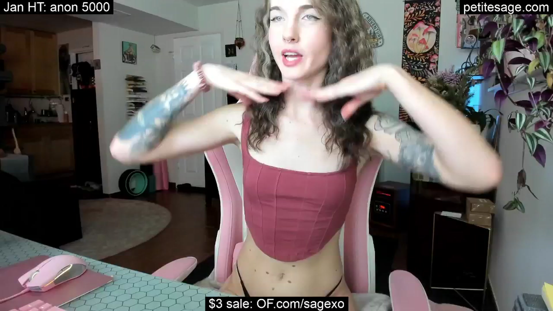 Gallery image thumbnail from PetiteSage's myfreecams stream on, 01/12/2026, 03:27 image 10 of 20