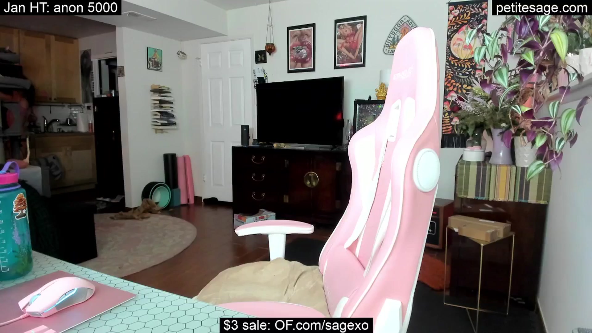Gallery image thumbnail from PetiteSage's myfreecams stream on, 01/26/2026, 04:07 image 1 of 20