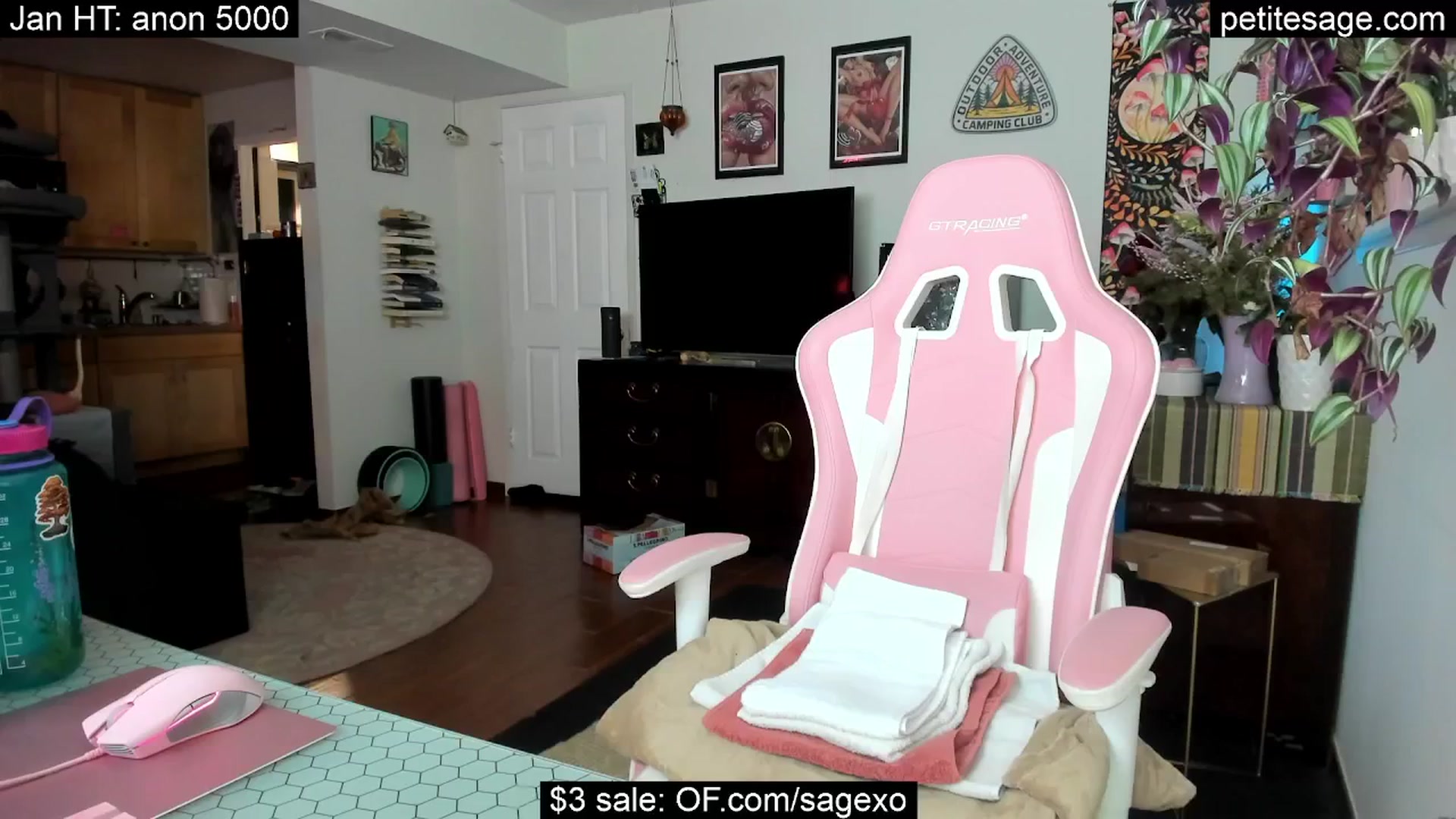 Gallery image thumbnail from PetiteSage's myfreecams stream on, 01/26/2026, 04:07 image 10 of 20