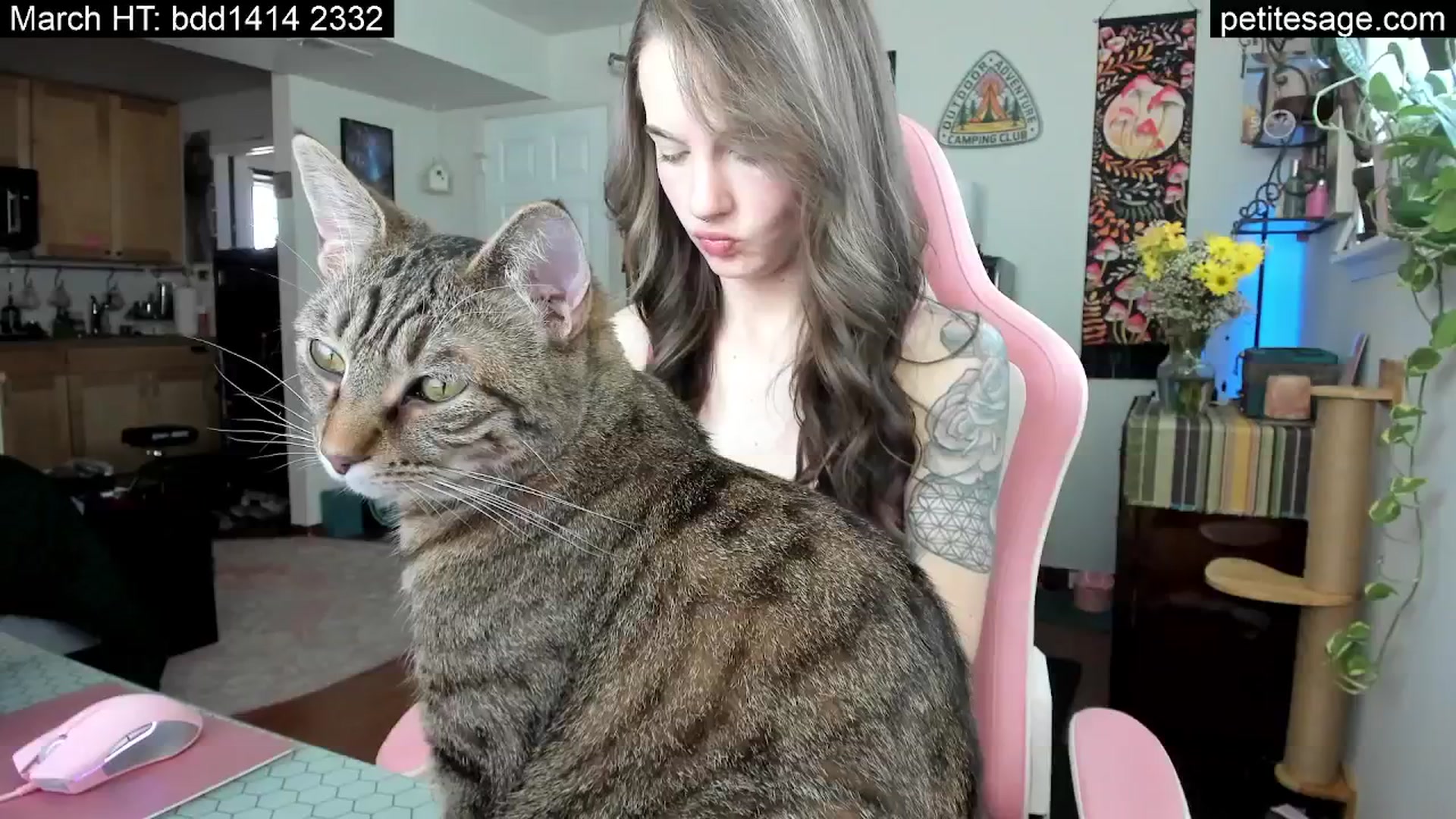 Gallery image thumbnail from PetiteSage's myfreecams stream on, 03/26/2026, 19:39 image 3 of 20