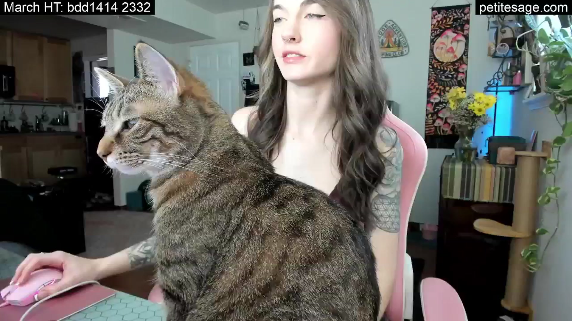 Gallery image thumbnail from PetiteSage's myfreecams stream on, 03/26/2026, 19:39 image 2 of 20