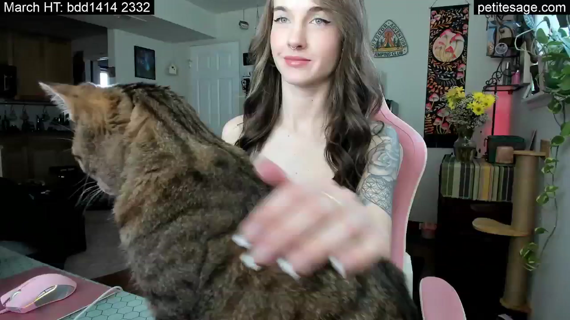 Gallery image thumbnail from PetiteSage's myfreecams stream on, 03/26/2026, 19:39 image 1 of 20