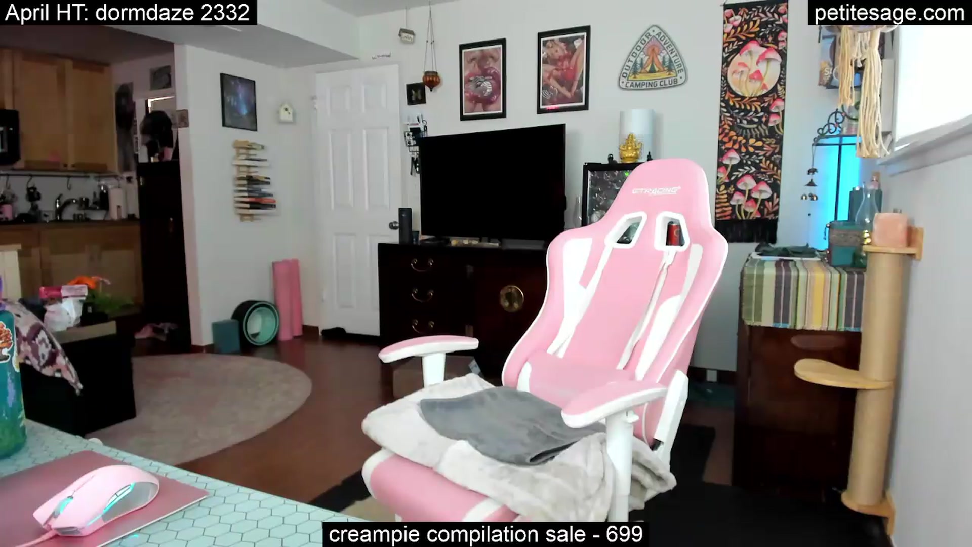 Gallery image thumbnail from PetiteSage's myfreecams stream on, 04/28/2026, 01:10 image 13 of 20