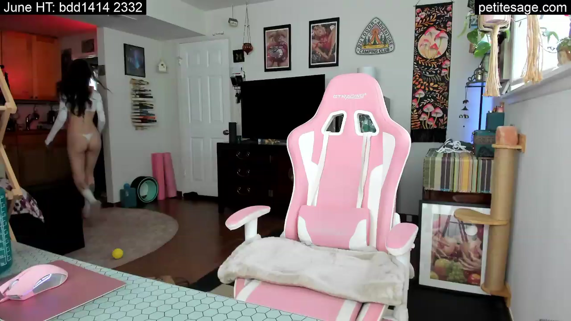 Gallery image thumbnail from PetiteSage's myfreecams stream on, 06/08/2026, 23:53 image 5 of 20