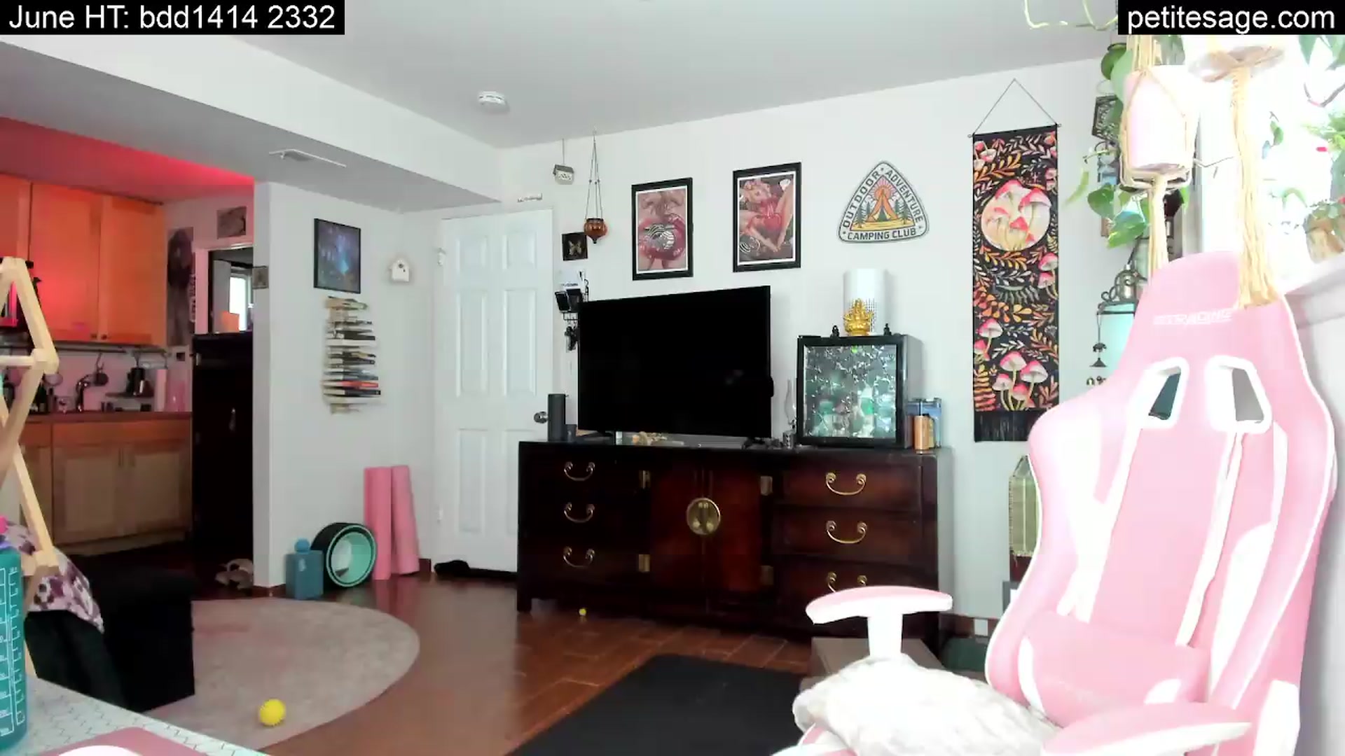 Gallery image thumbnail from PetiteSage's myfreecams stream on, 06/08/2026, 23:53 image 11 of 20