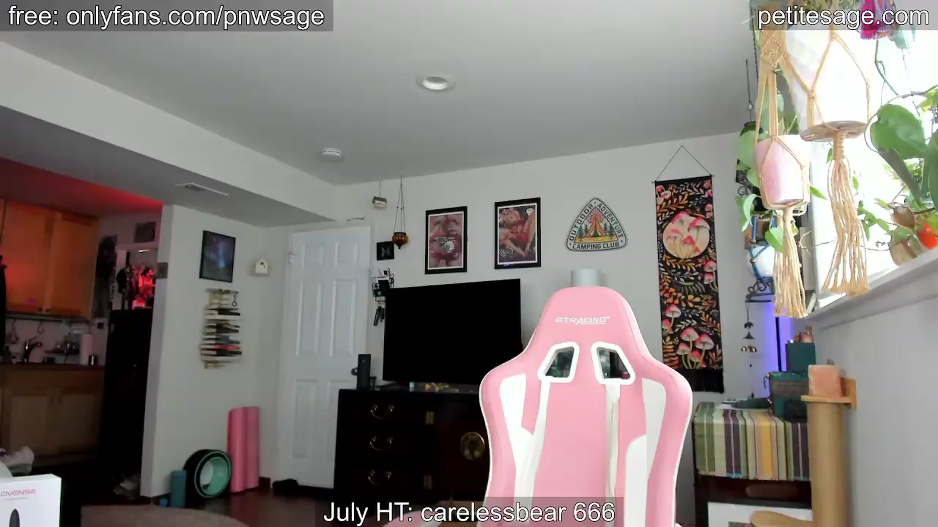 Gallery image thumbnail from PetiteSage's myfreecams stream on, 07/01/2026, 22:46 image 20 of 20