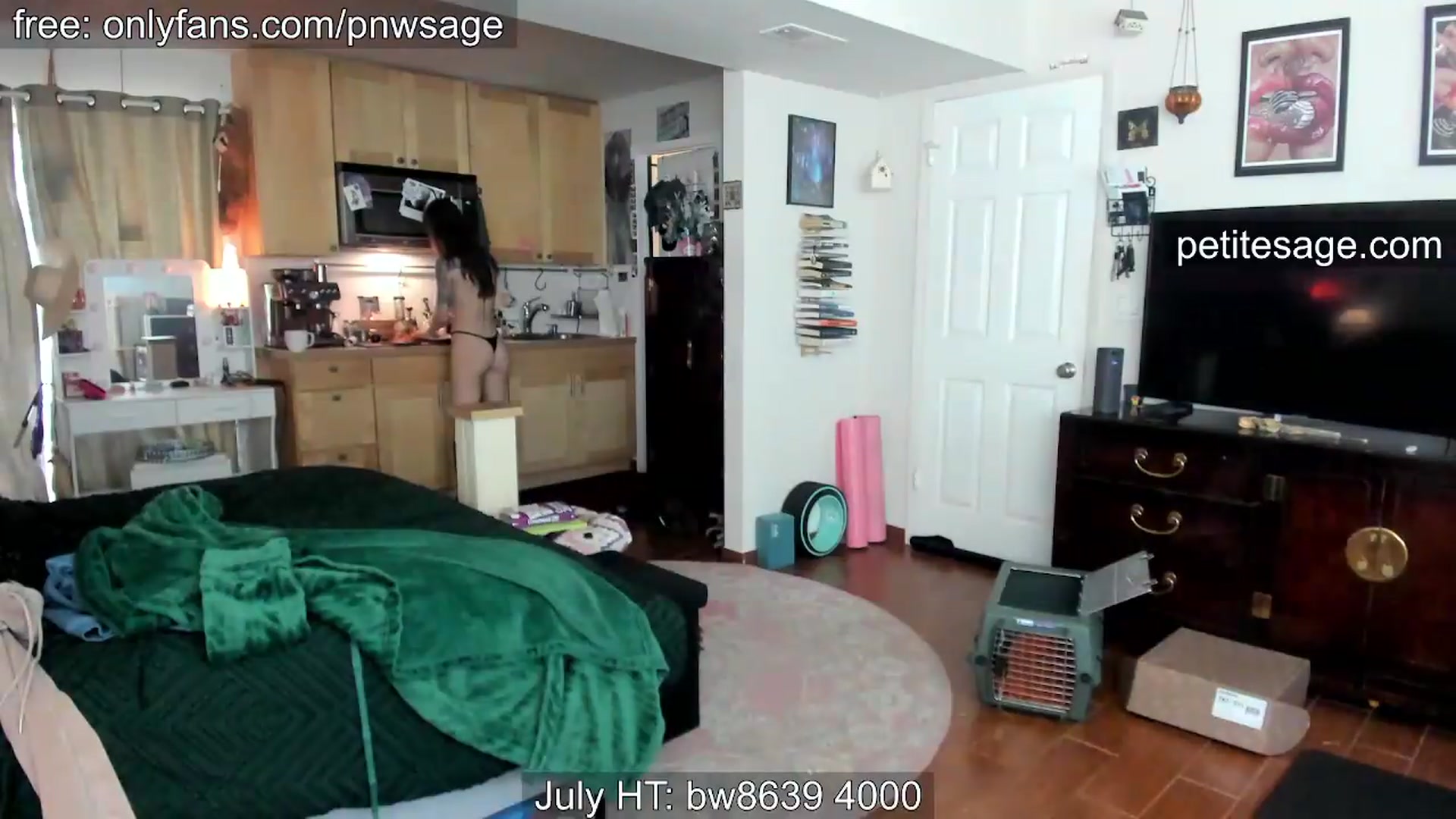 Gallery image thumbnail from PetiteSage's myfreecams stream on, 07/13/2026, 21:26 image 10 of 20