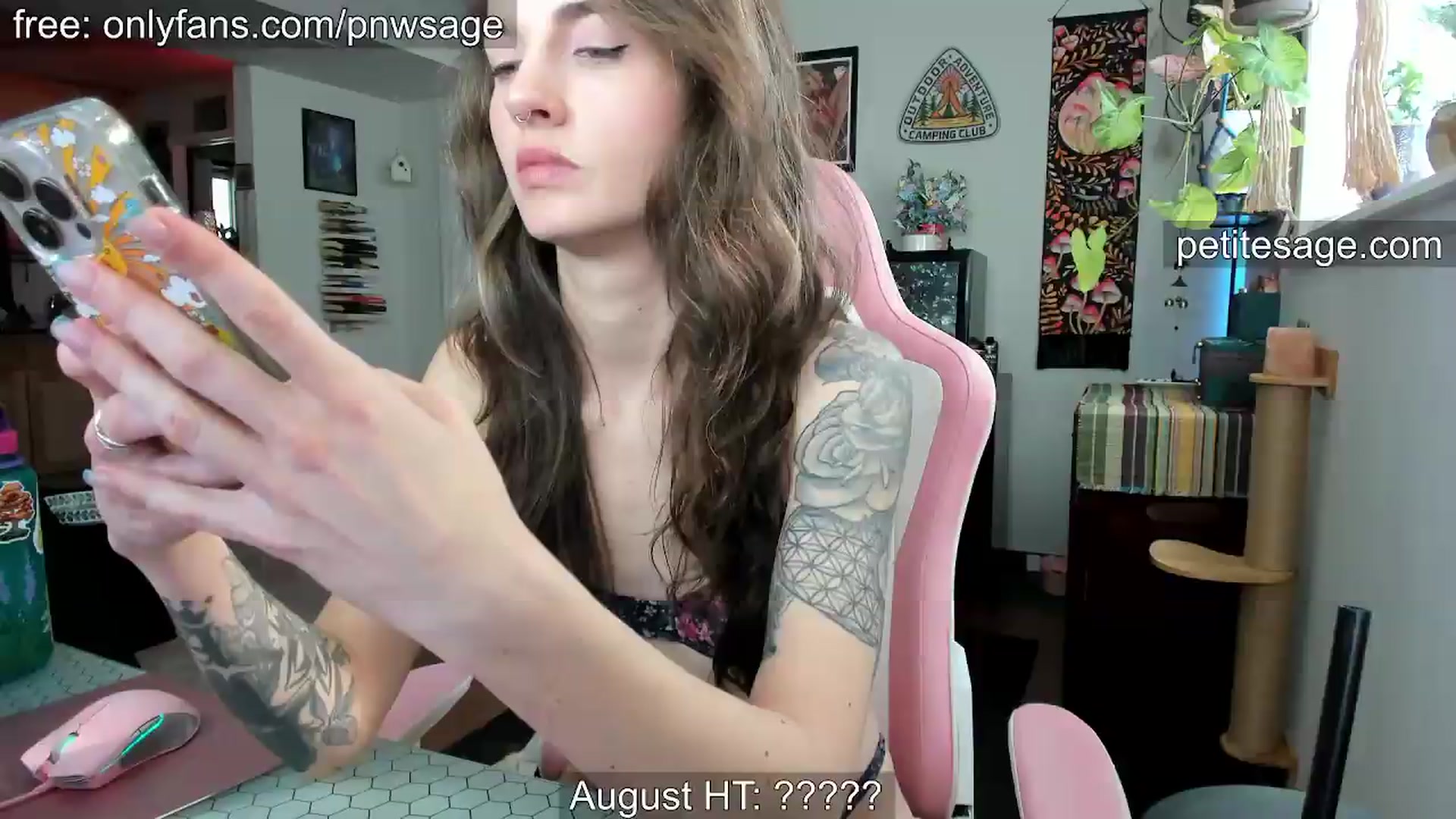 Gallery image thumbnail from PetiteSage's myfreecams stream on, 08/04/2026, 23:27 image 18 of 20