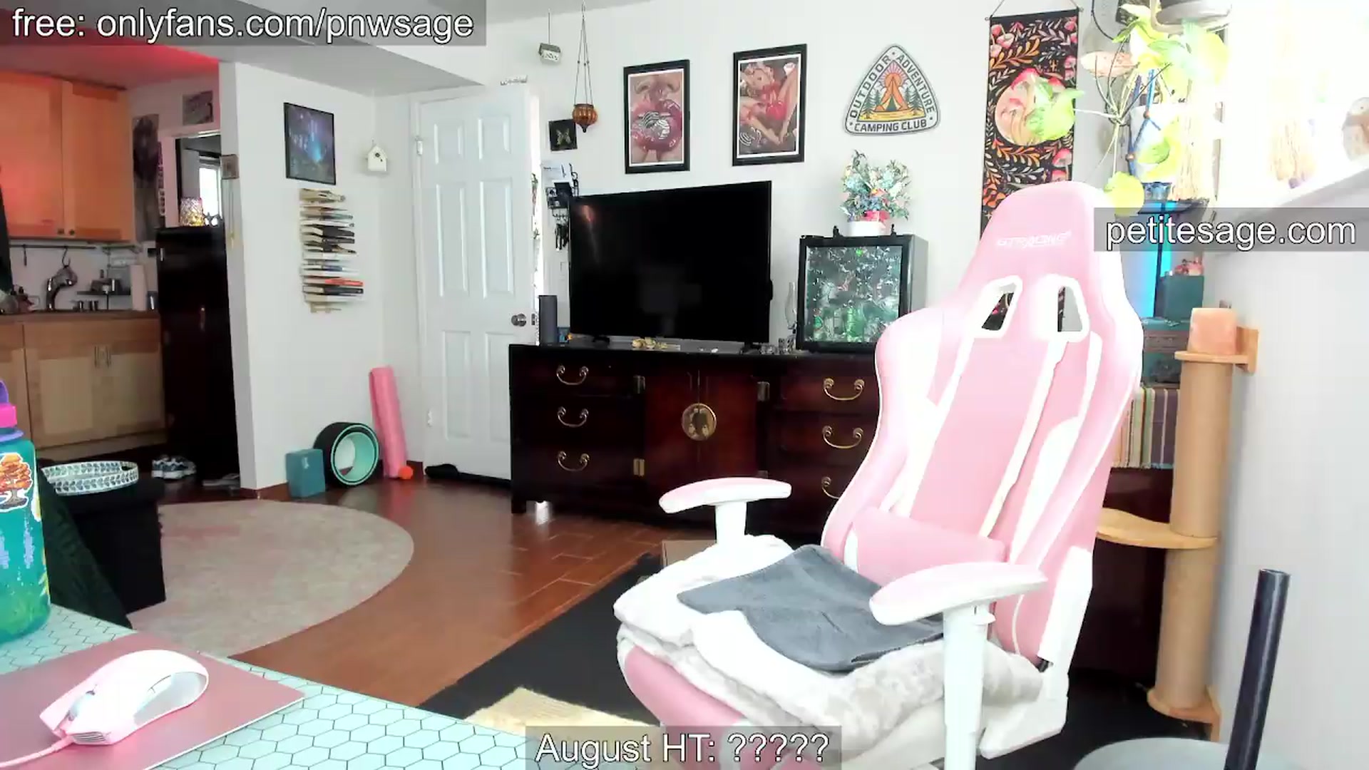 Gallery image thumbnail from PetiteSage's myfreecams stream on, 08/04/2026, 23:27 image 8 of 20