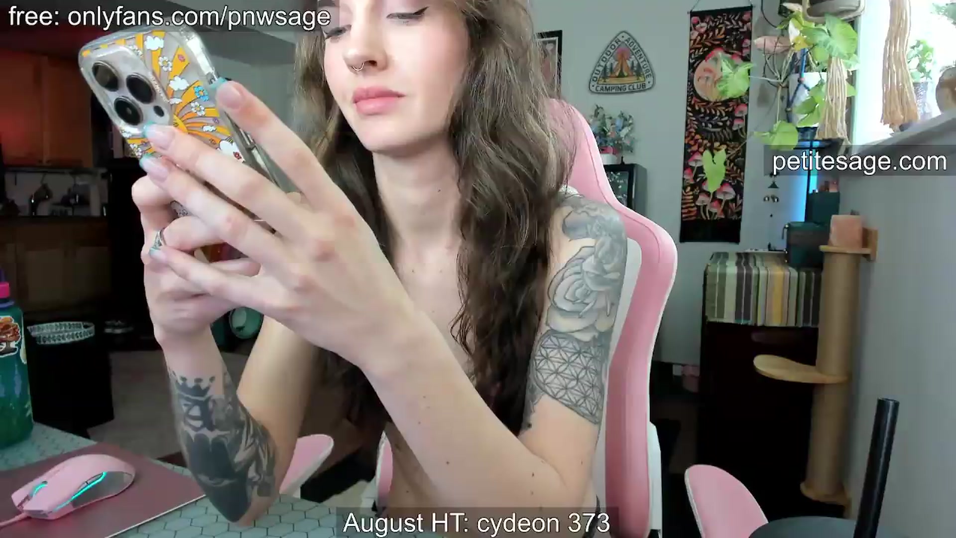Gallery image thumbnail from PetiteSage's myfreecams stream on, 08/05/2026, 24:25 image 15 of 20
