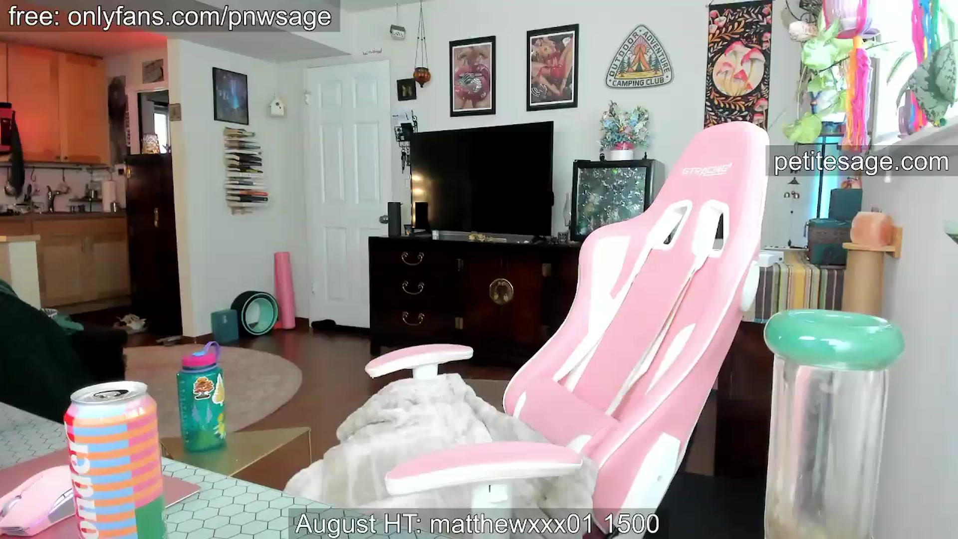 Gallery image thumbnail from PetiteSage's myfreecams stream on, 08/14/2026, 01:37 image 2 of 20