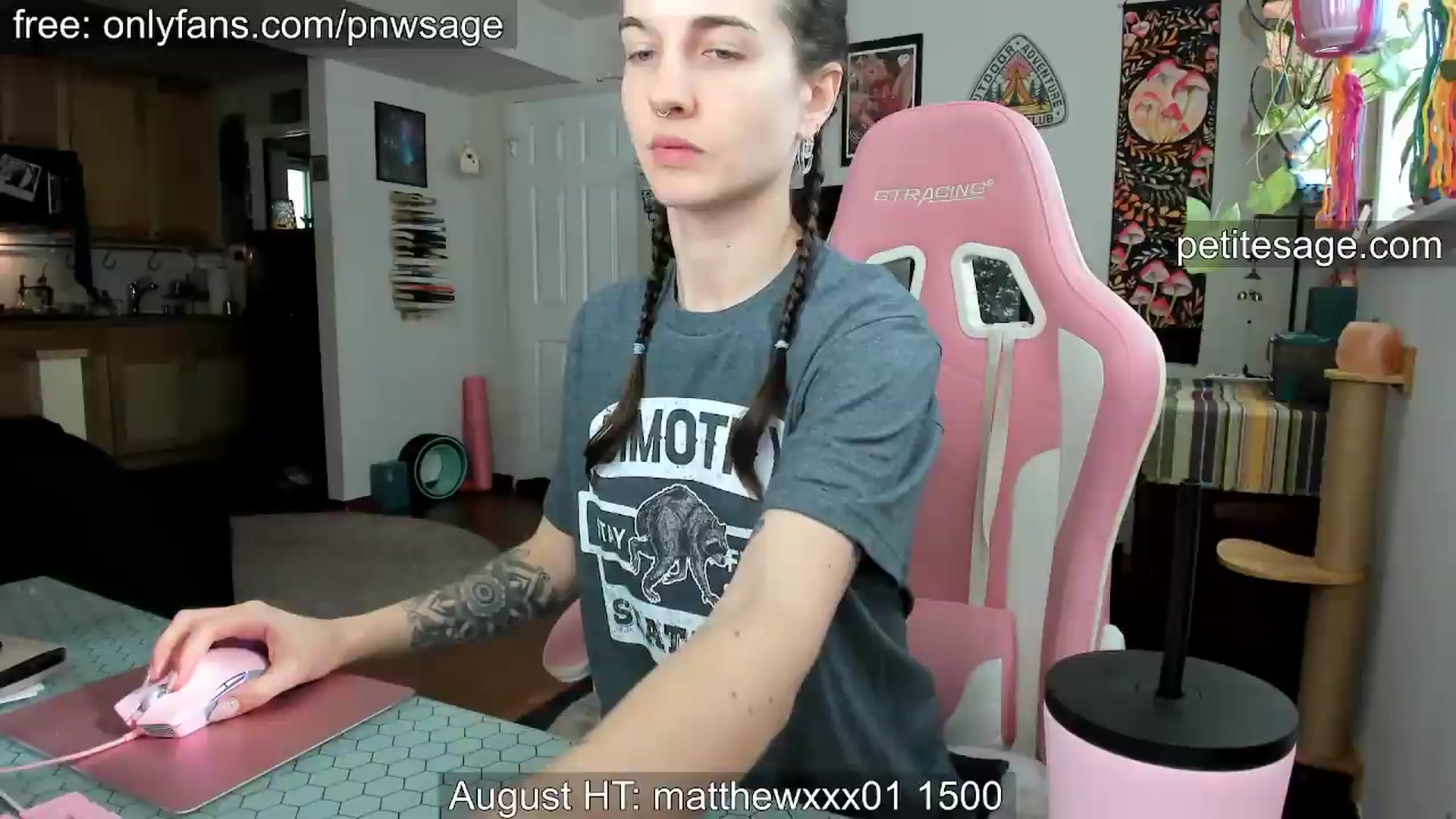 Gallery image thumbnail from PetiteSage's myfreecams stream on, 08/17/2026, 24:15 image 2 of 20