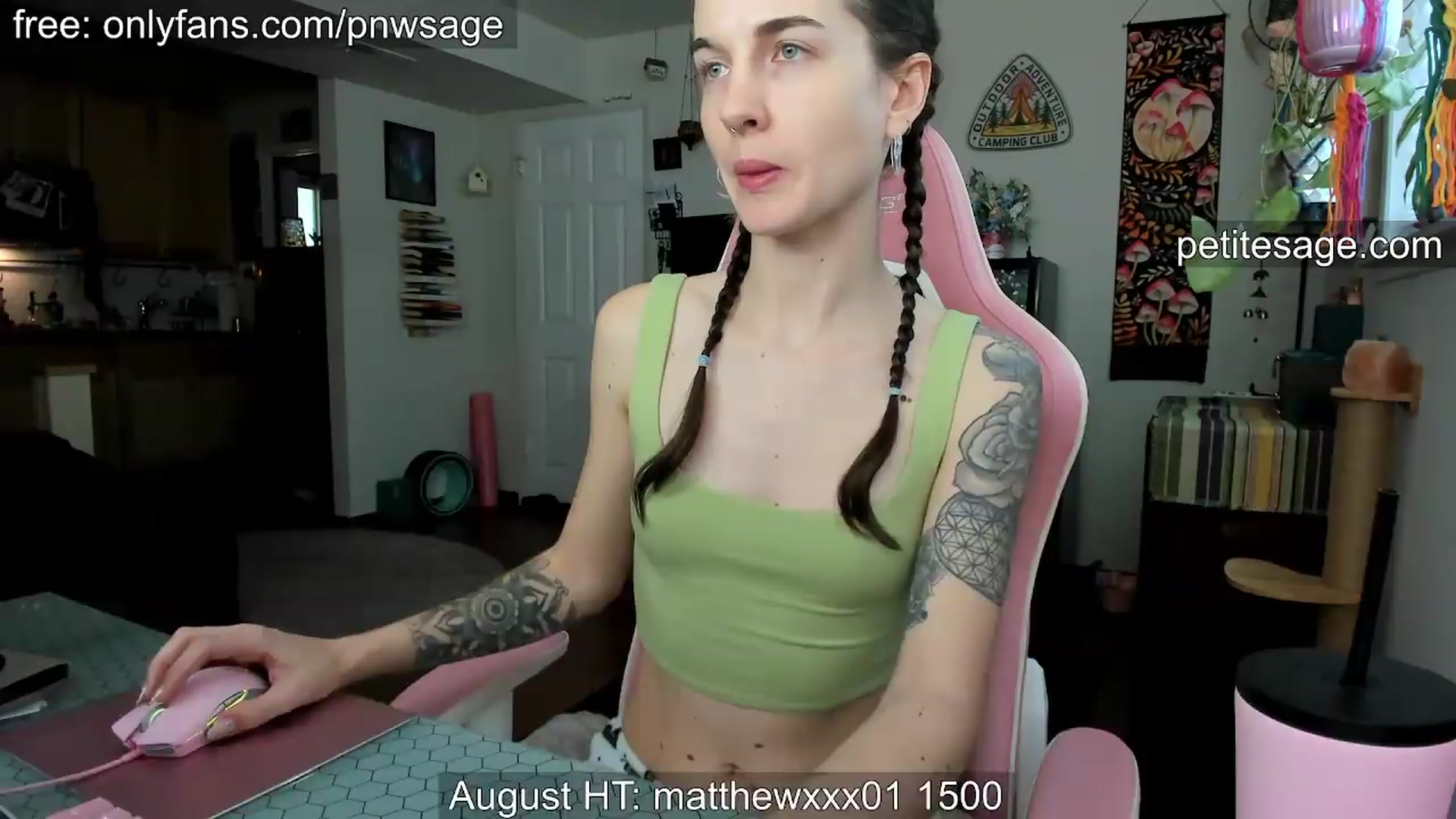 Gallery image thumbnail from PetiteSage's myfreecams stream on, 08/17/2026, 24:15 image 19 of 20