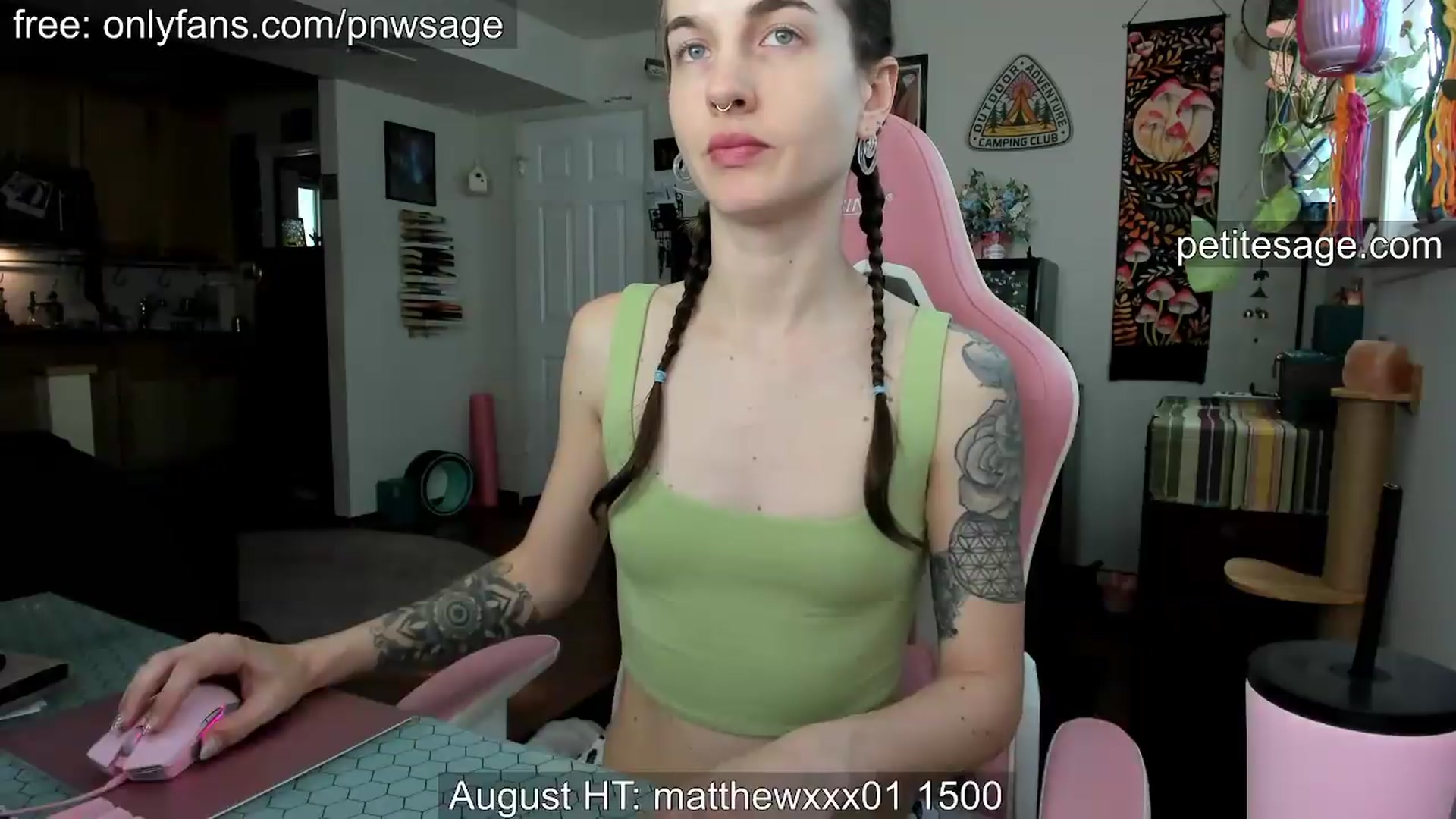 Gallery image thumbnail from PetiteSage's myfreecams stream on, 08/17/2026, 24:15 image 13 of 20