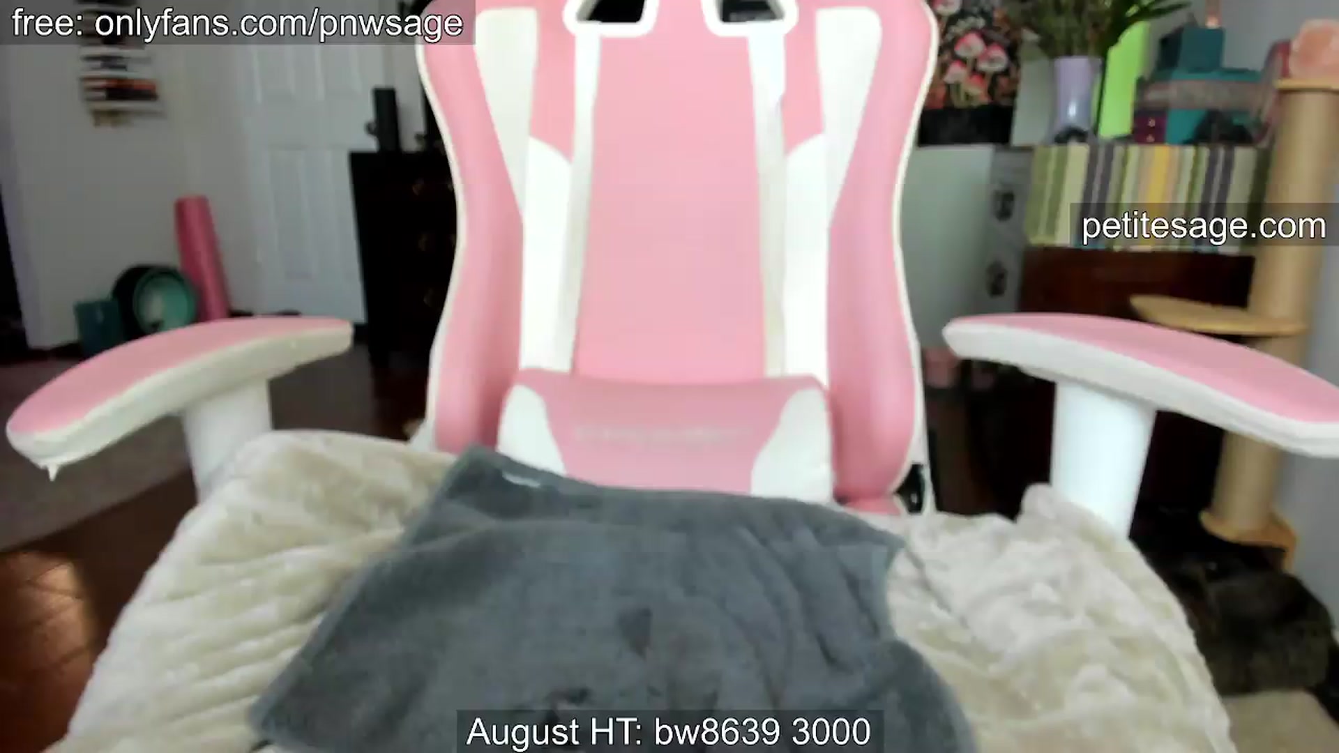 Gallery image thumbnail from PetiteSage's myfreecams stream on, 08/20/2026, 04:31 image 18 of 20