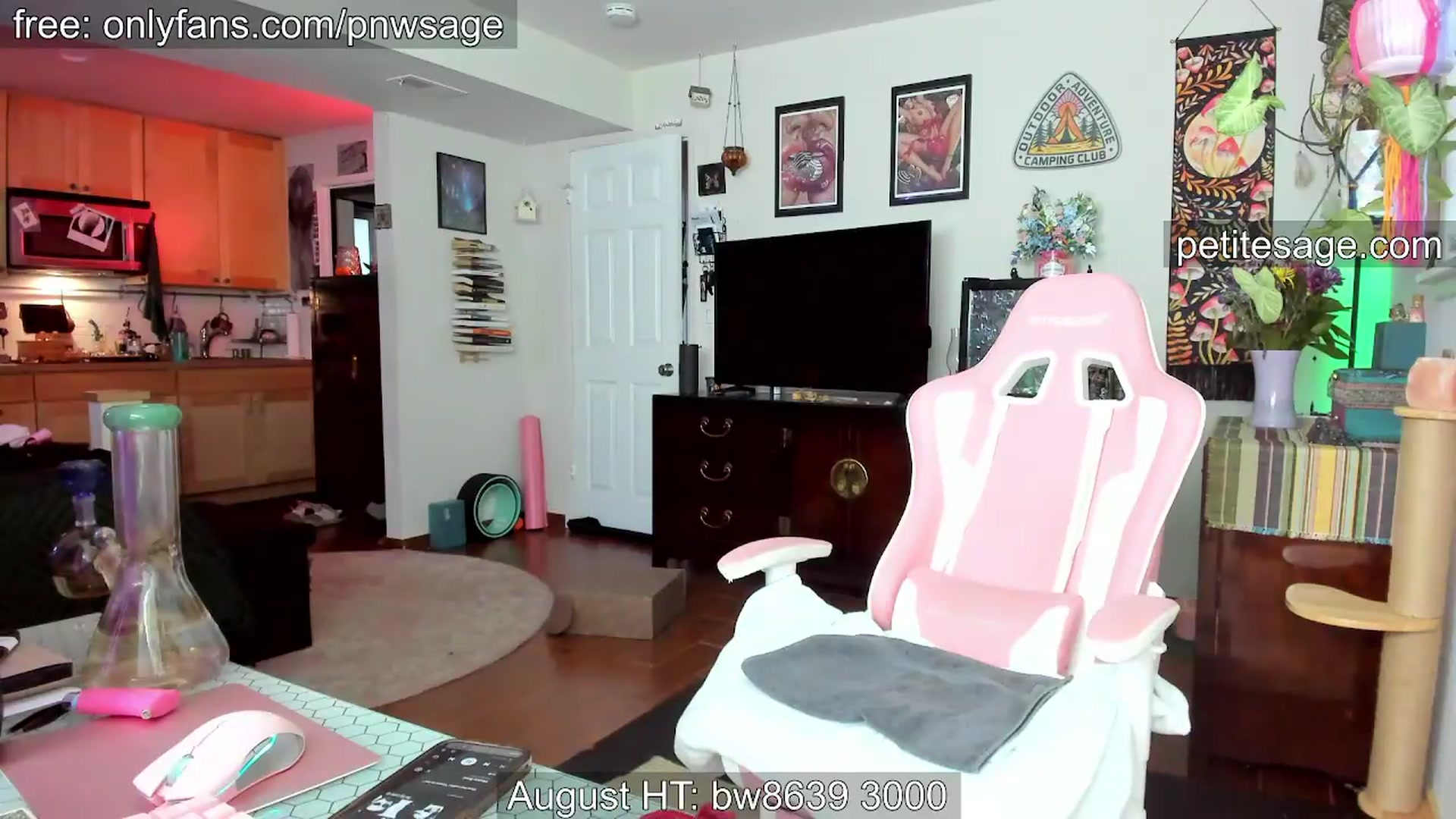 Gallery image thumbnail from PetiteSage's myfreecams stream on, 08/26/2026, 04:34 image 2 of 20