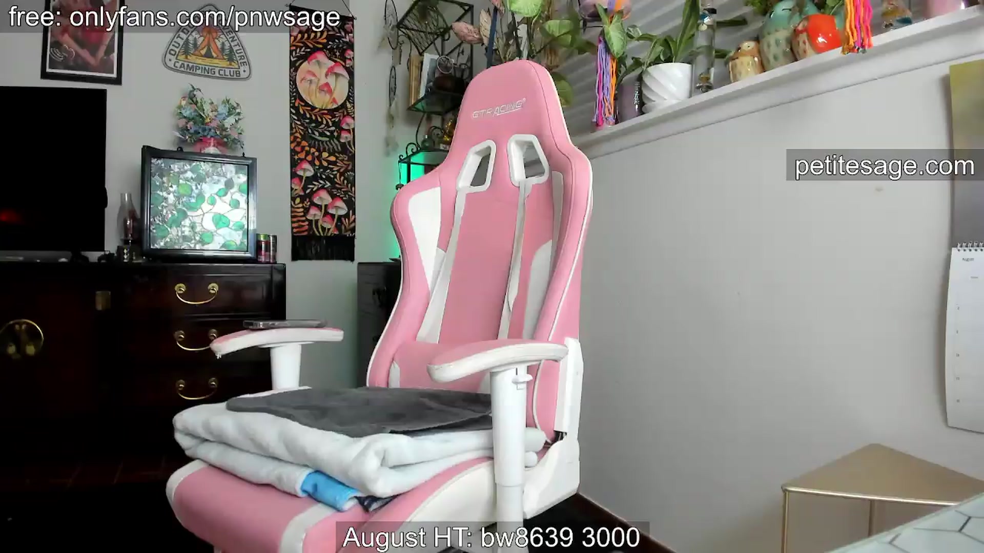Gallery image thumbnail from PetiteSage's myfreecams stream on, 08/28/2026, 05:41 image 2 of 20