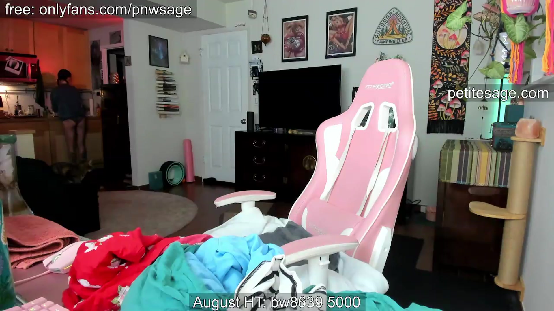 Gallery image thumbnail from PetiteSage's myfreecams stream on, 08/29/2026, 05:55 image 2 of 20