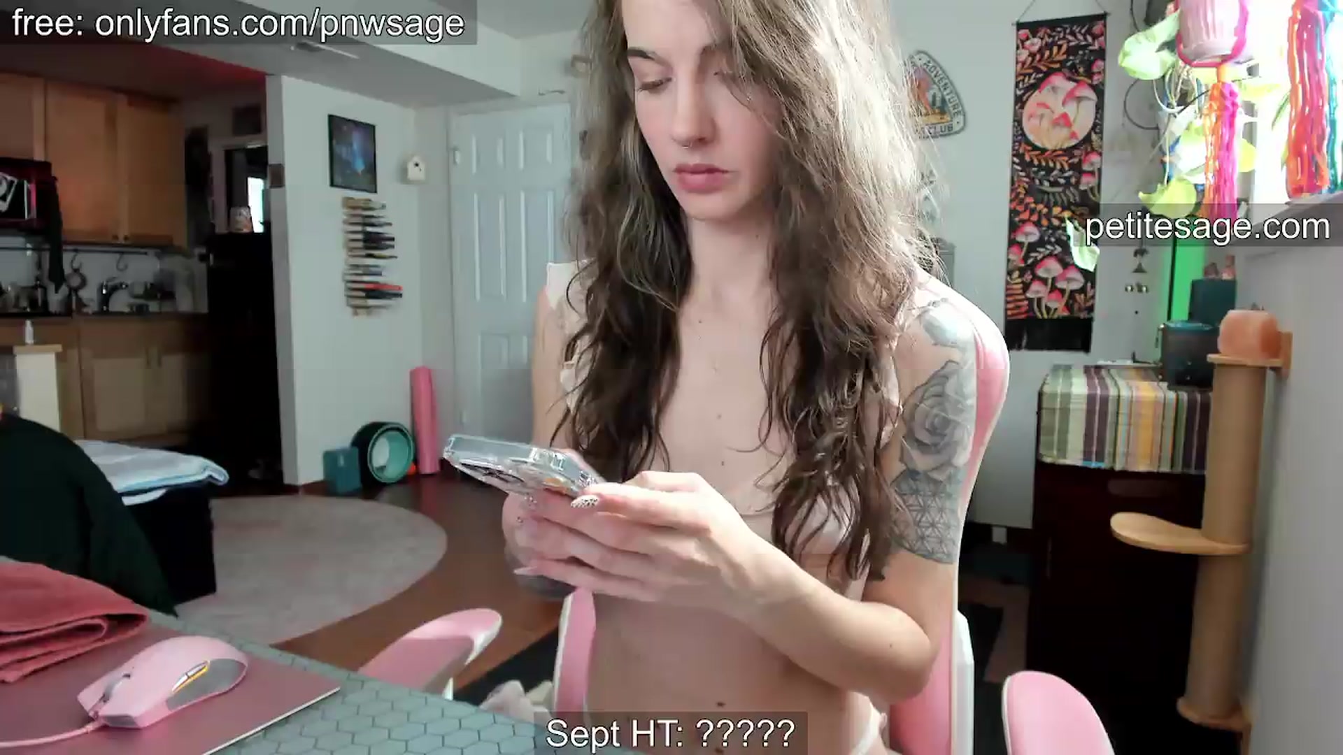 Gallery image thumbnail from PetiteSage's myfreecams stream on, 09/06/2026, 22:38 image 20 of 20
