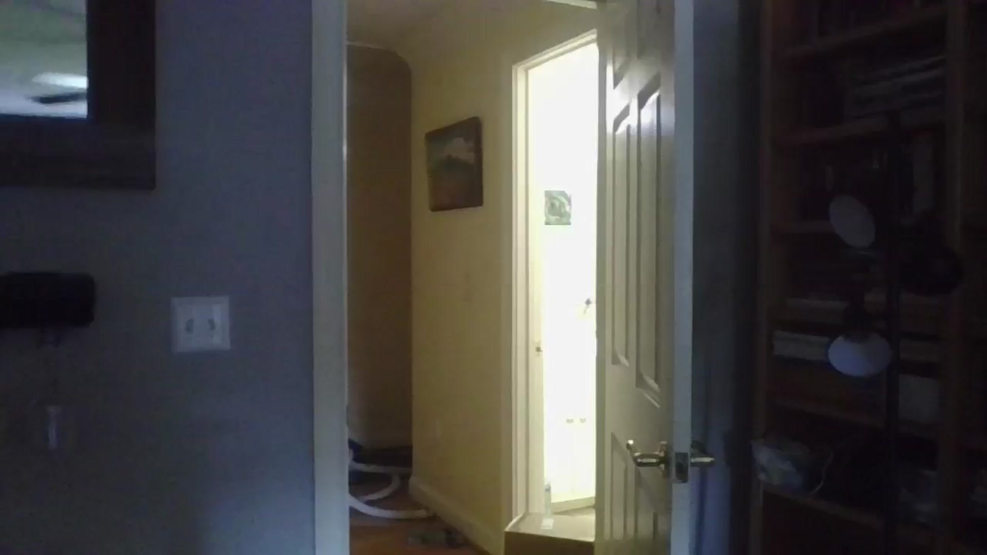 Gallery image thumbnail from Petunias's myfreecams stream on, 10/13/2024, 17:47 image 4 of 20