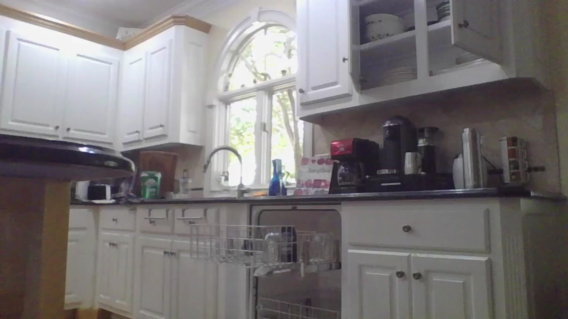 Gallery image thumbnail from Petunias's myfreecams stream on, 10/18/2024, 17:41 image 13 of 20