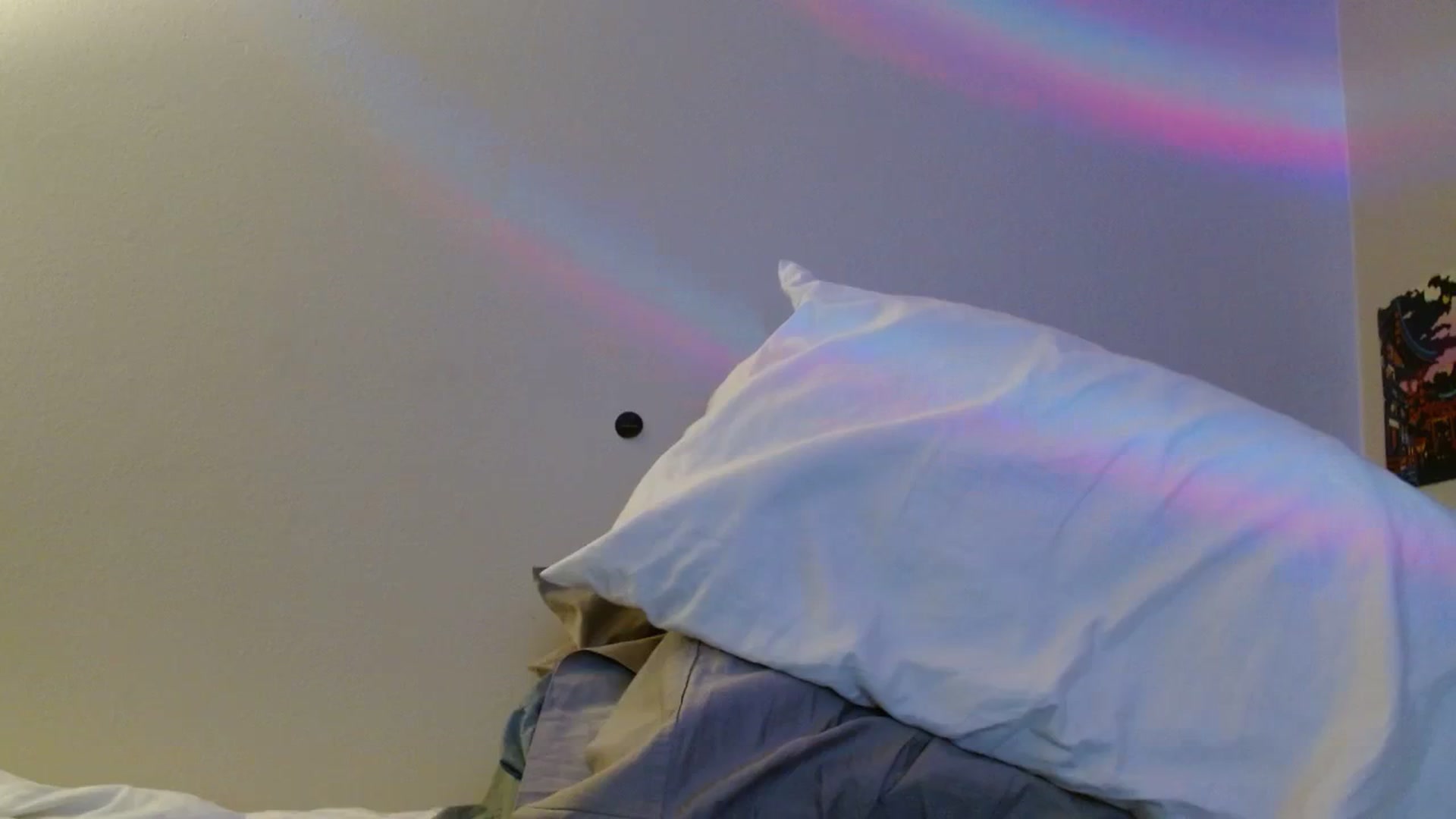 Gallery image thumbnail from PilloPrincess's myfreecams stream on, 03/16/2024, 11:03 image 15 of 20