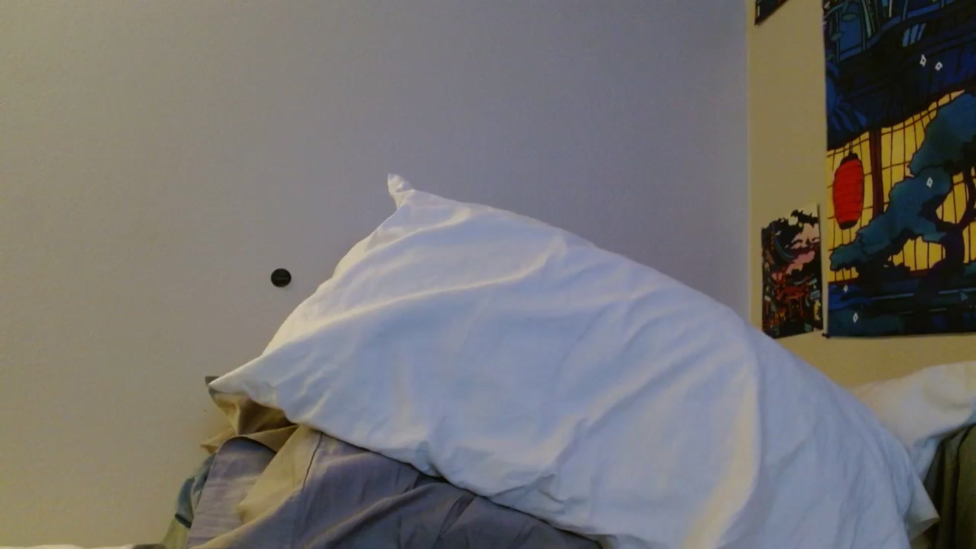 Gallery image thumbnail from PilloPrincess's myfreecams stream on, 03/16/2024, 11:03 image 14 of 20