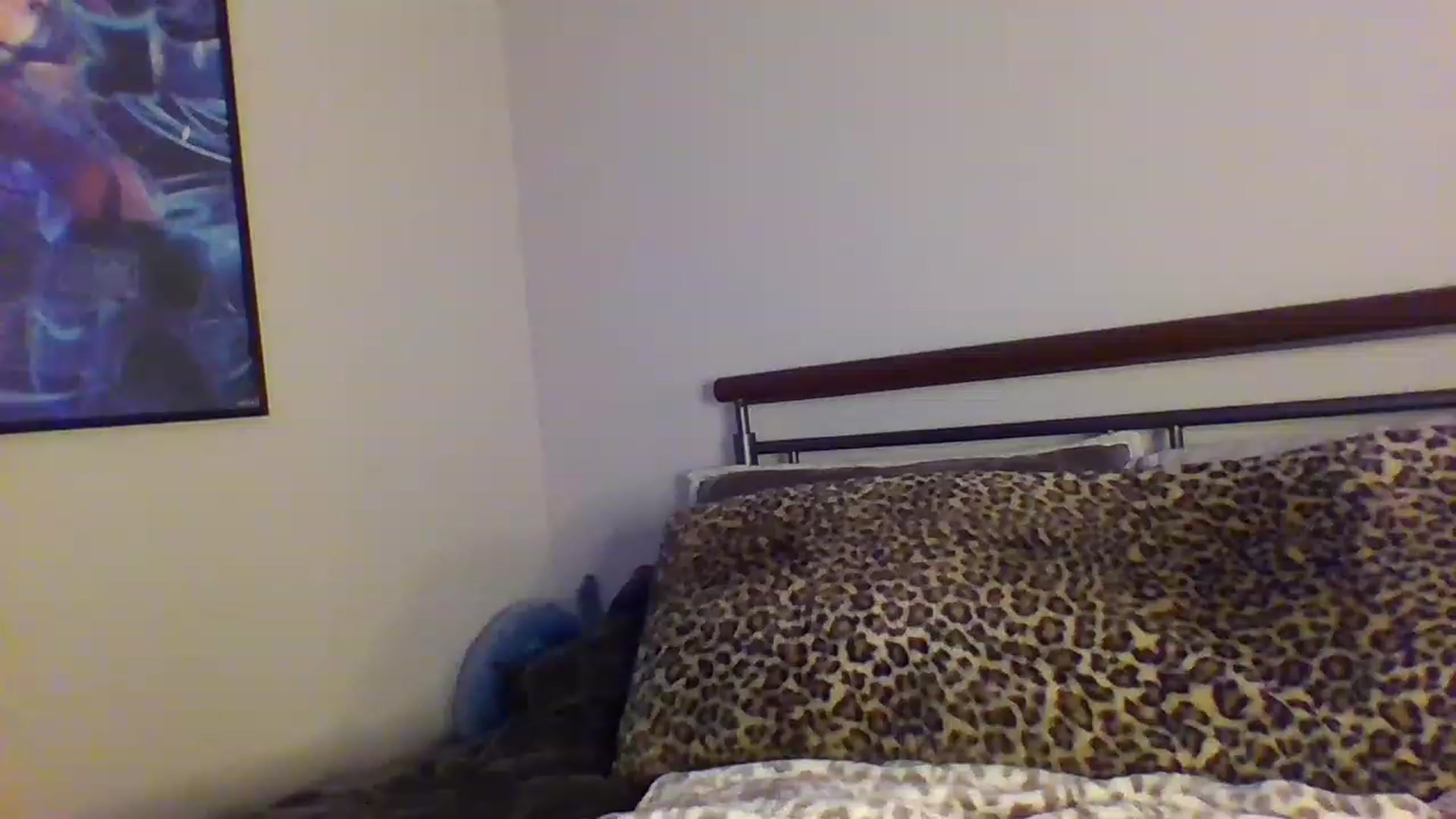 Gallery image thumbnail from PinkNymphy's myfreecams stream on, 11/30/2022, 22:06 image 14 of 20